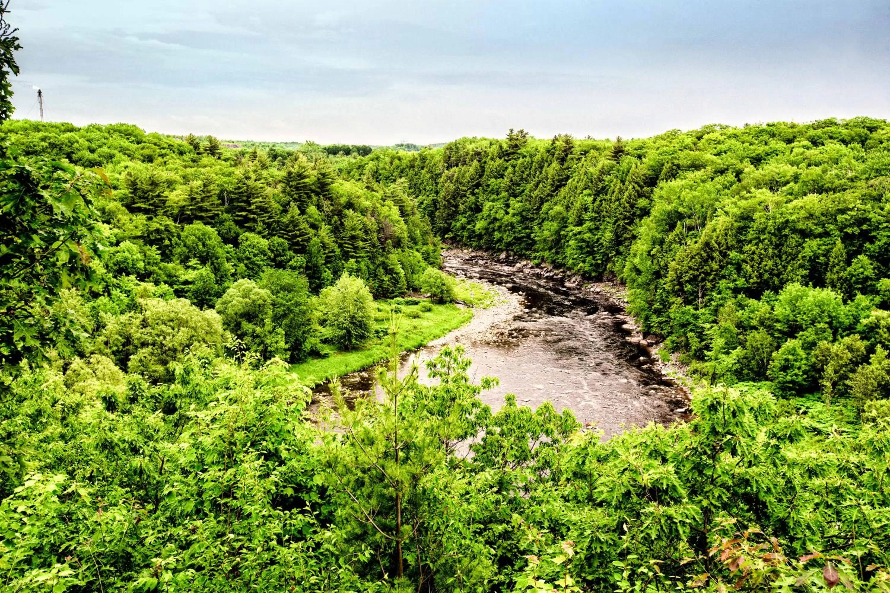 River view, Bird's-eye View in Motel et Camping Etchemin