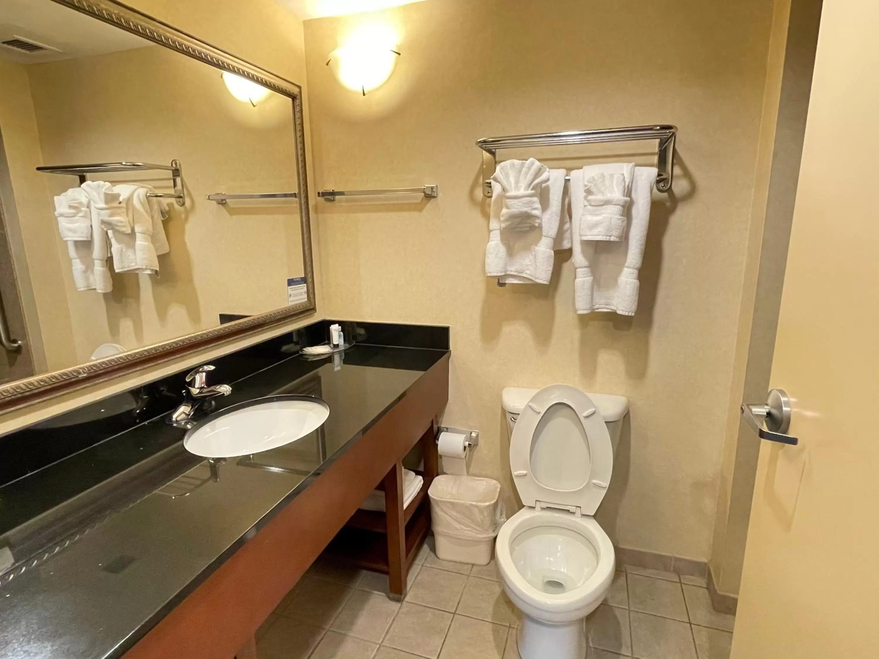 Bathroom in Comfort Suites Fredericksburg North