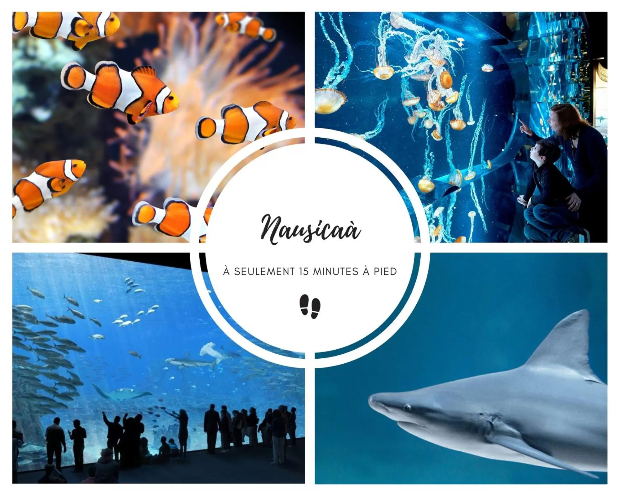 Activities in Chambres d'Hôtes Au coin du spa