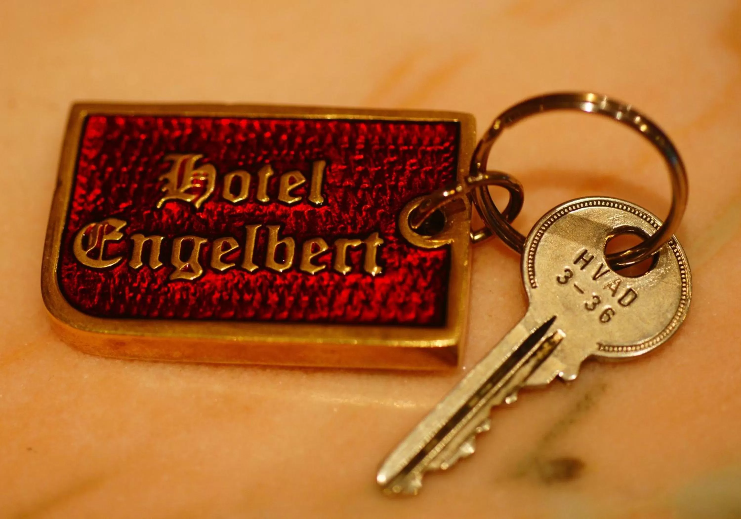 Property logo or sign in Hotel Engelbert