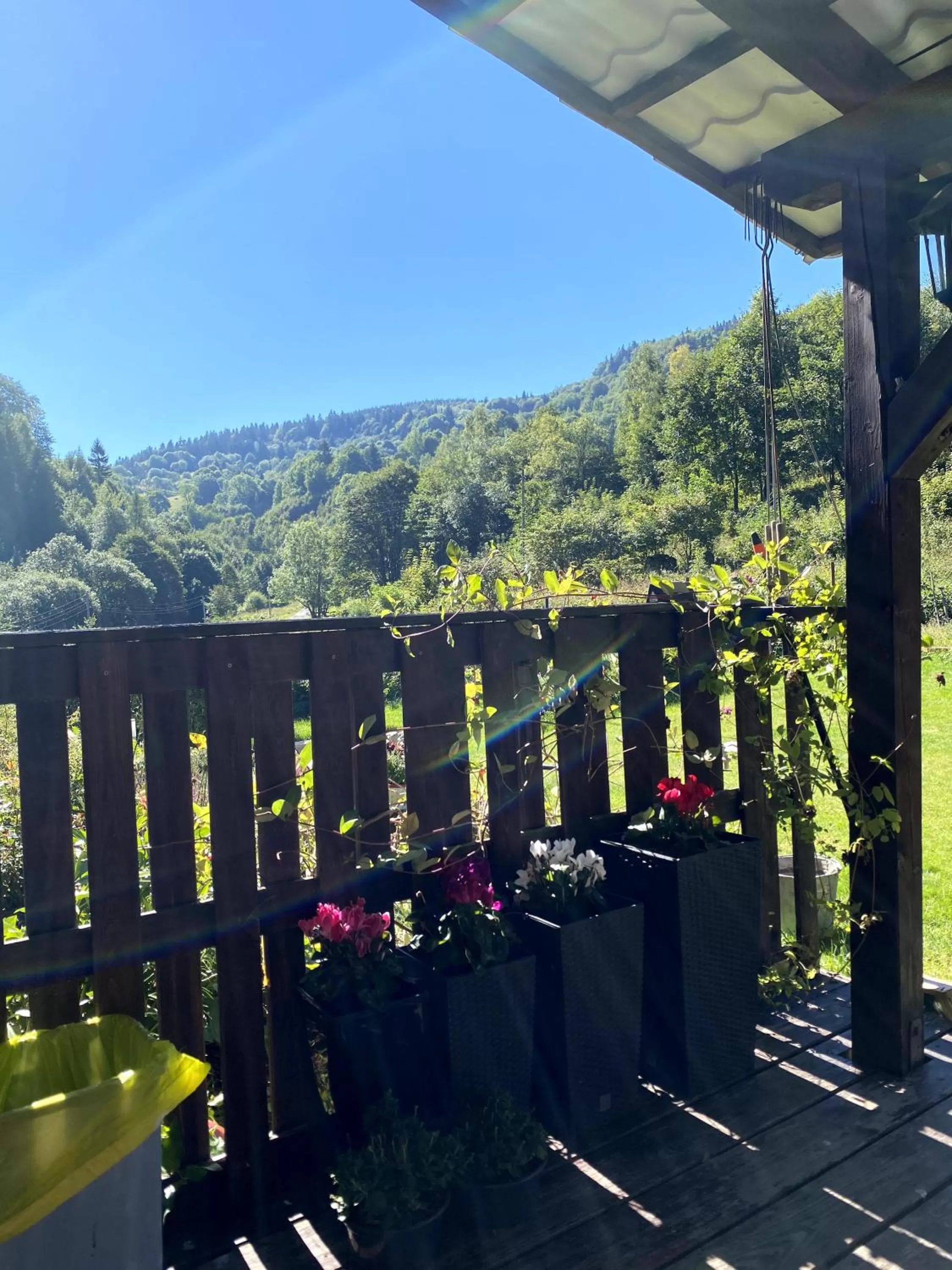 Property building in Dom Supełek