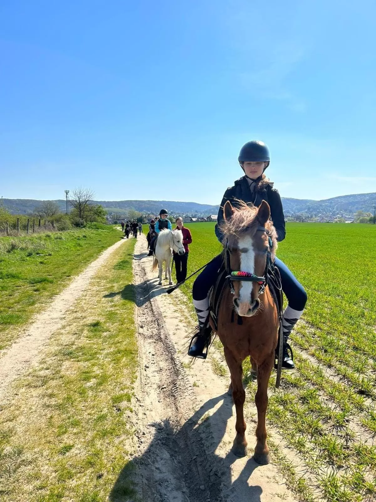 Horse-riding, Horseback Riding in Spa & Pool Apartment Hotel - Restaurant VILLA IVICA