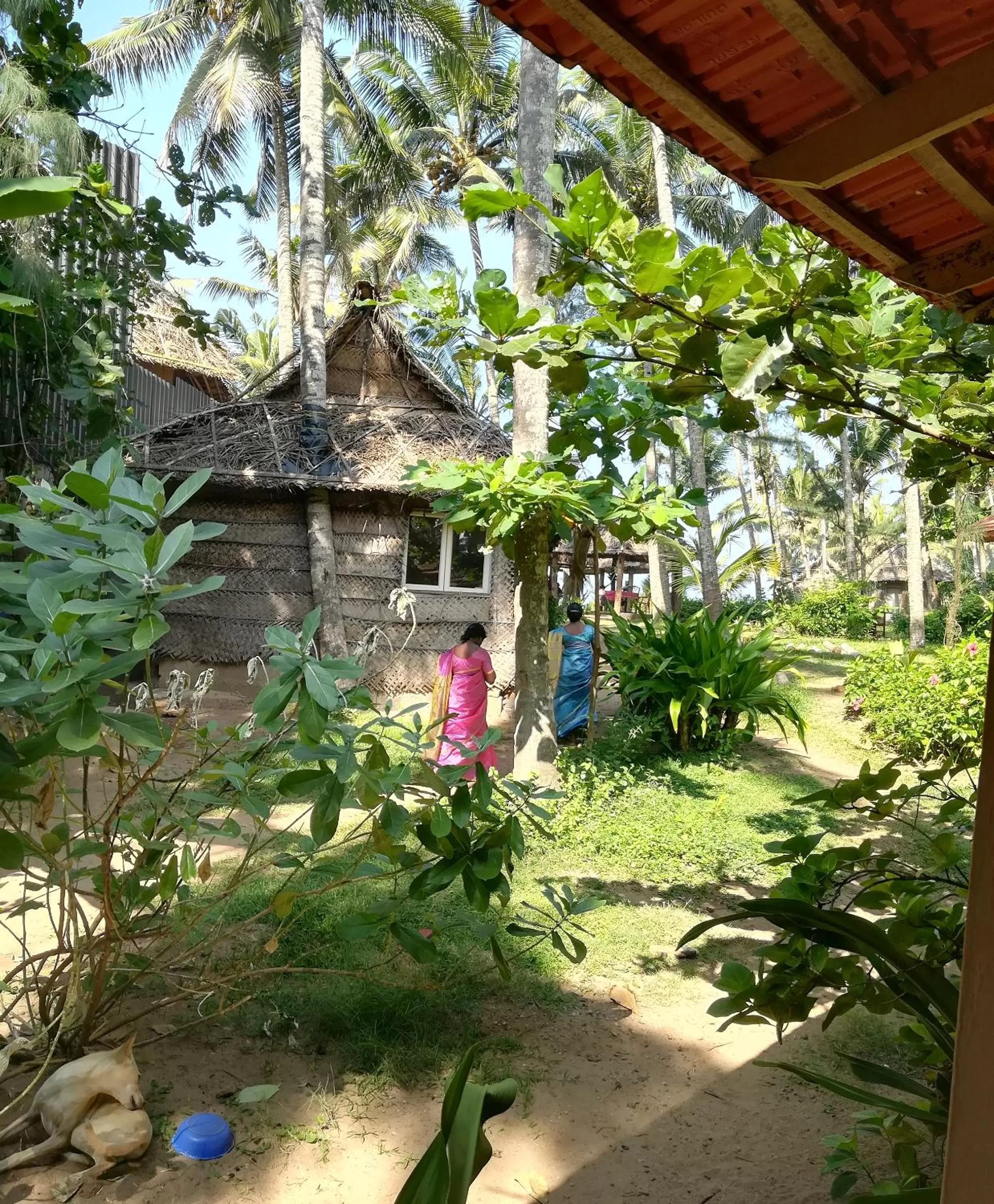 Garden, Property Building in Sukriti beach Resort