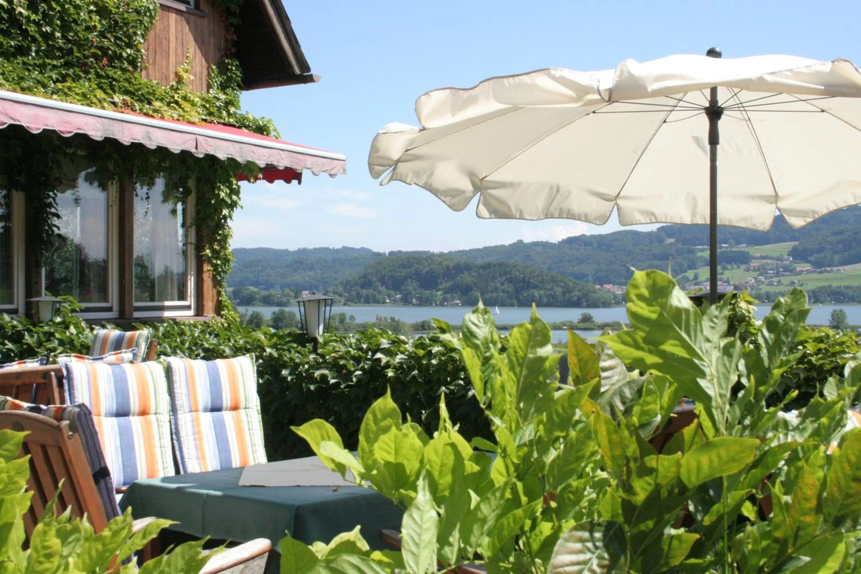 Balcony/Terrace in Hotel Walkner