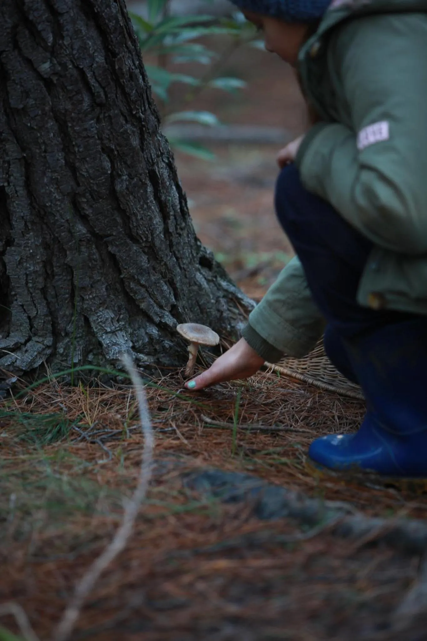 Hiking in A Hilltop Country Retreat
