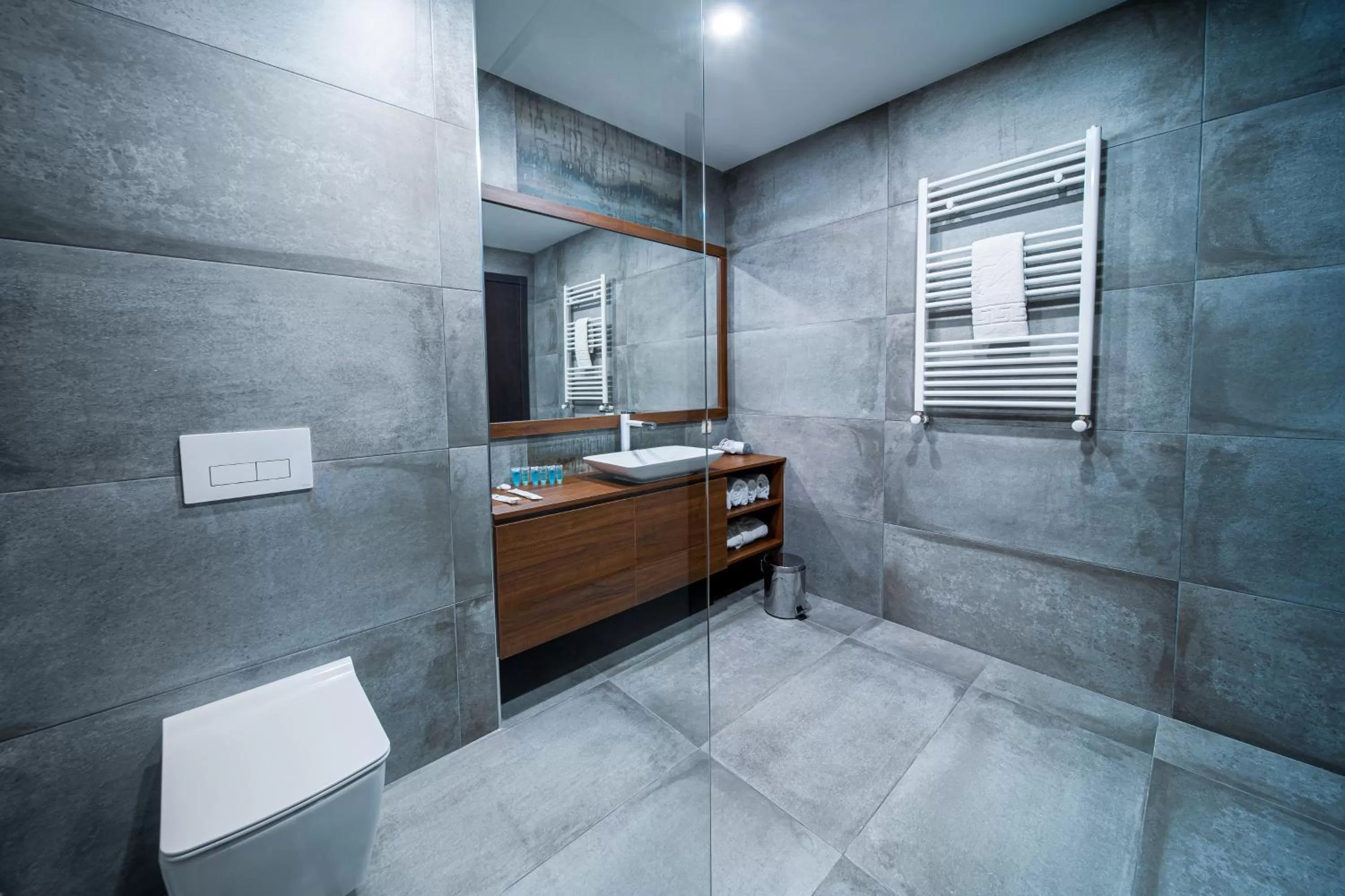 Toilet in Reed Hotel Tbilisi