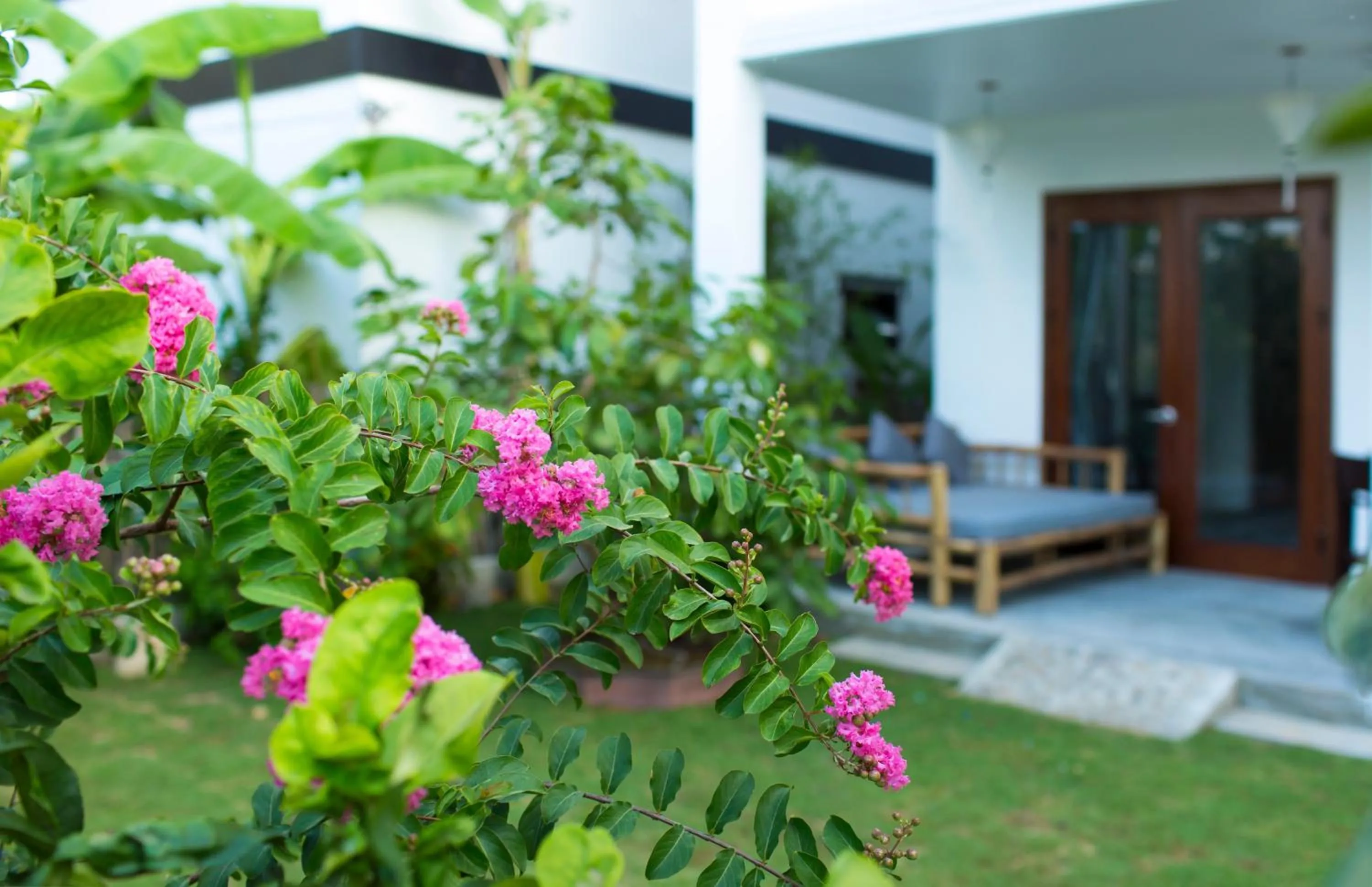 Garden view in Vina Beach Pool Villas