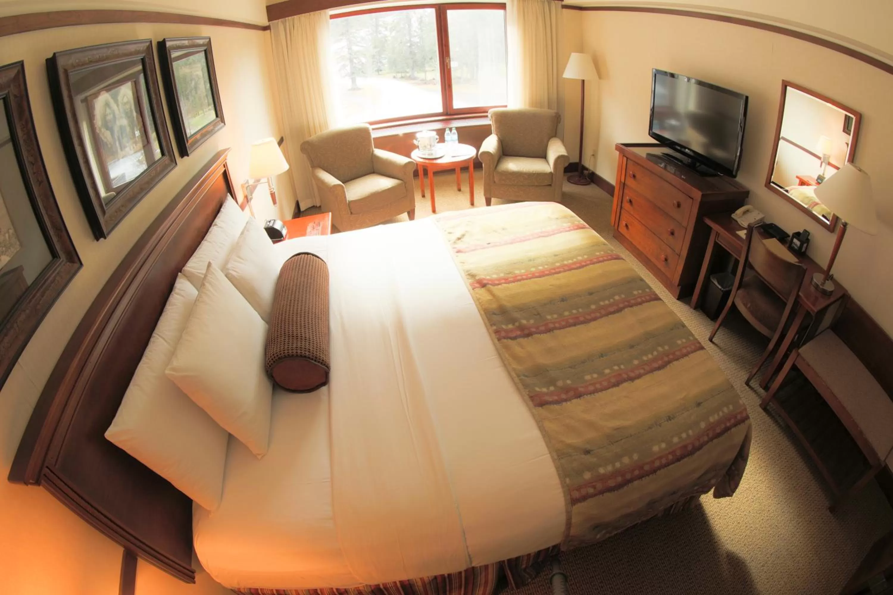 Photo of the whole room, Bed in Alyeska Resort