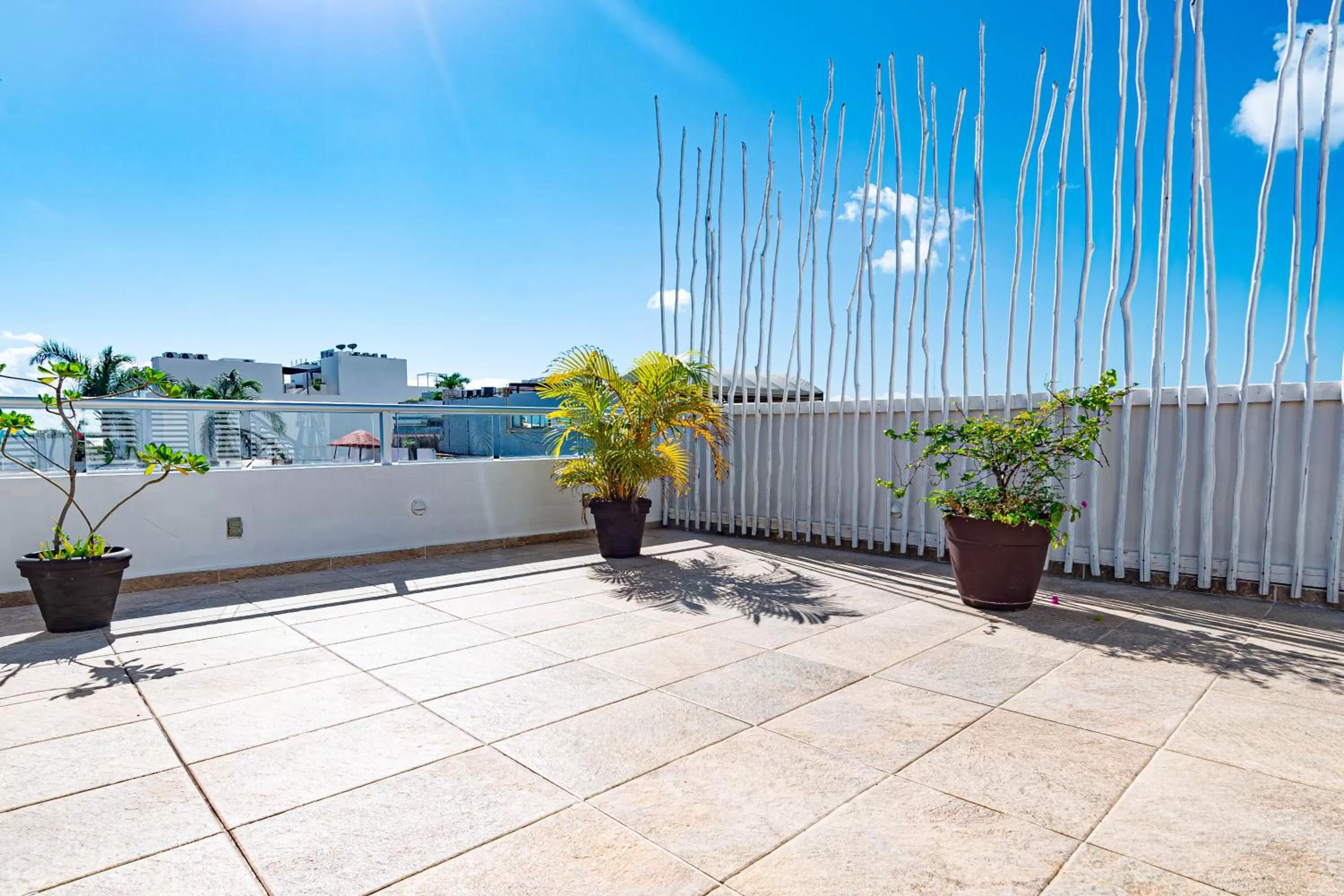 Balcony/Terrace in Hotel Boutique Rato 10