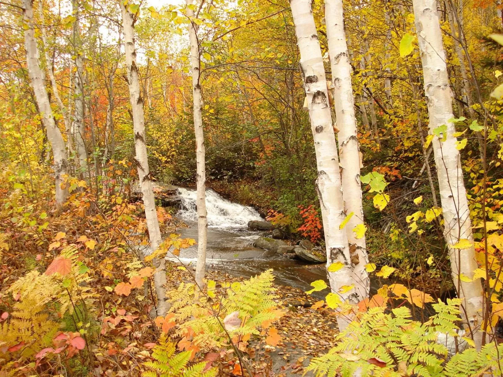 Autumn in Auberge La Tanière