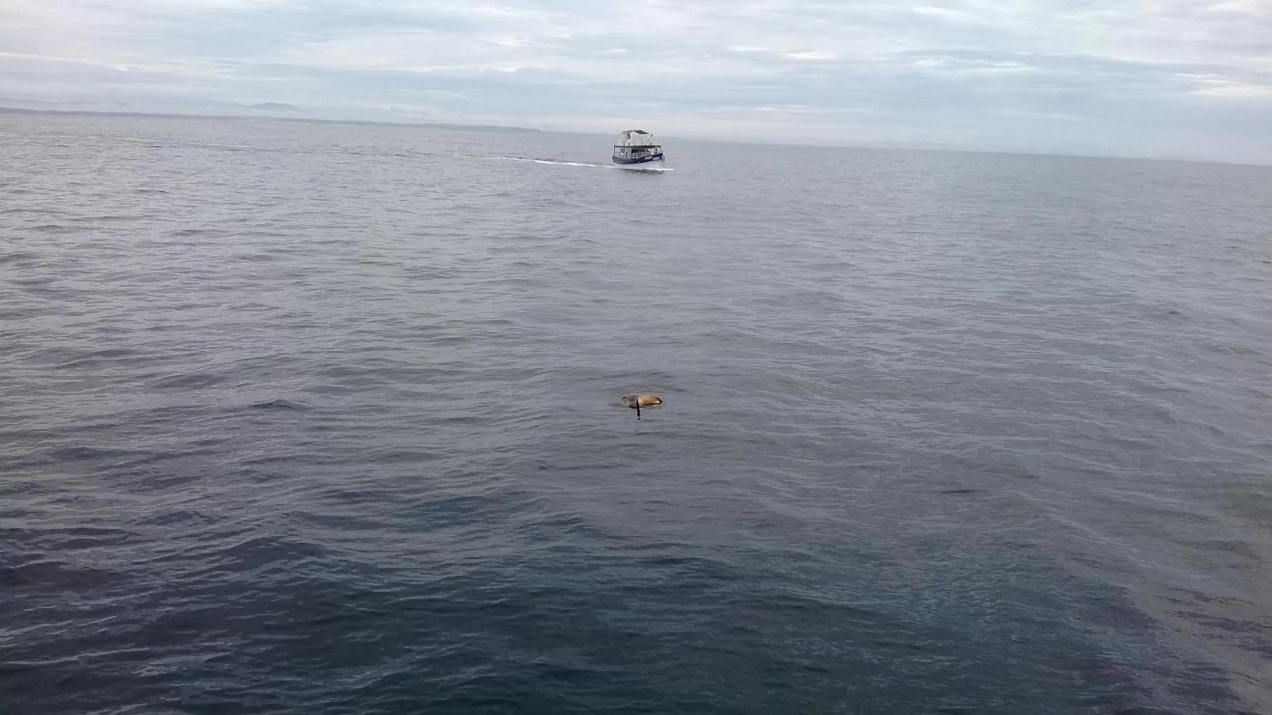 Sea view in Jumera Villa Mirissa