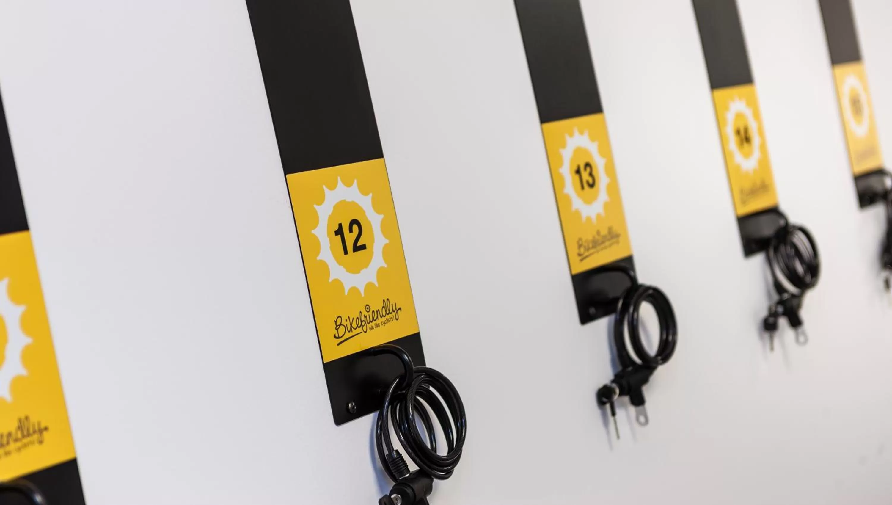 Cycling in Globales Mimosa