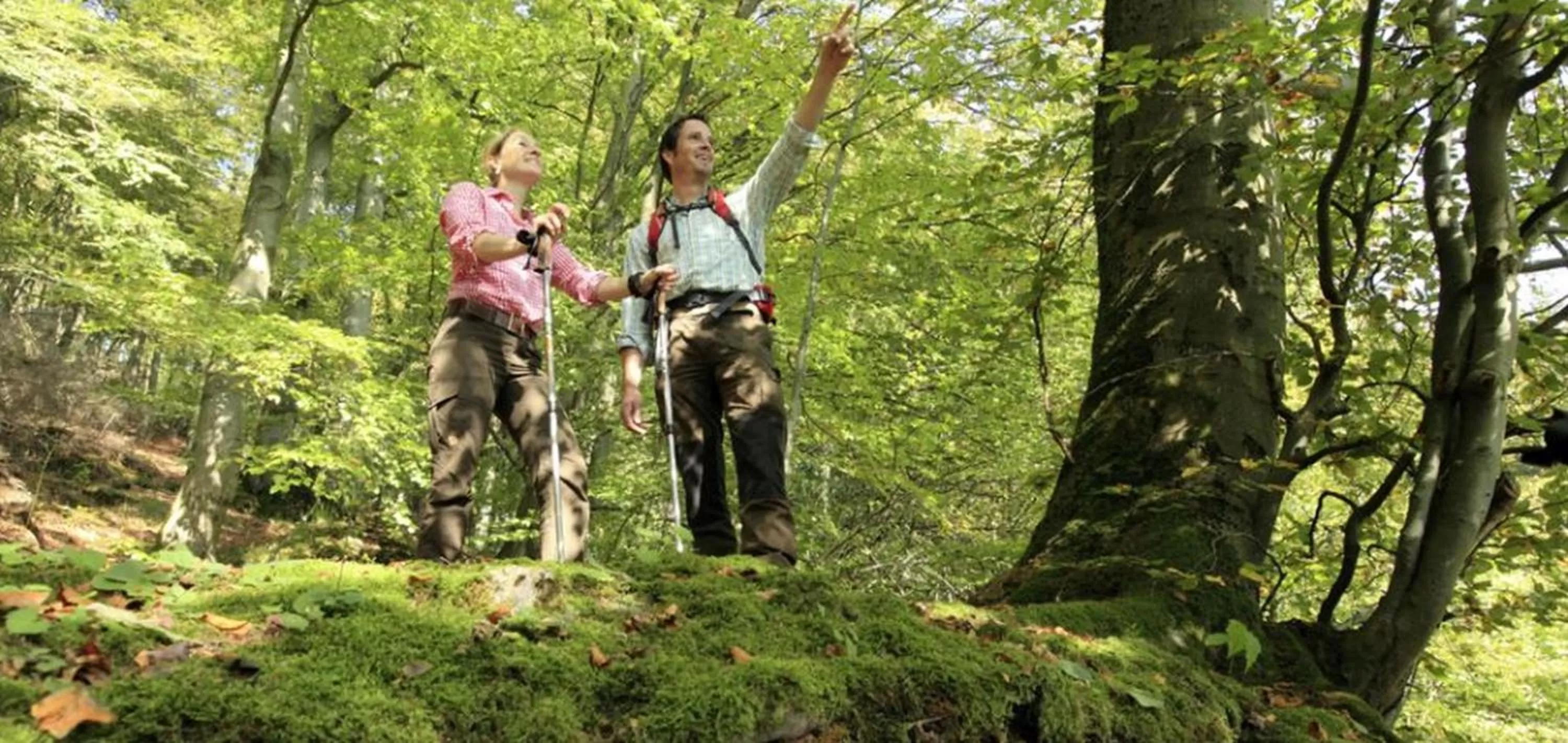 Off site in Waldhaus Ohlenbach