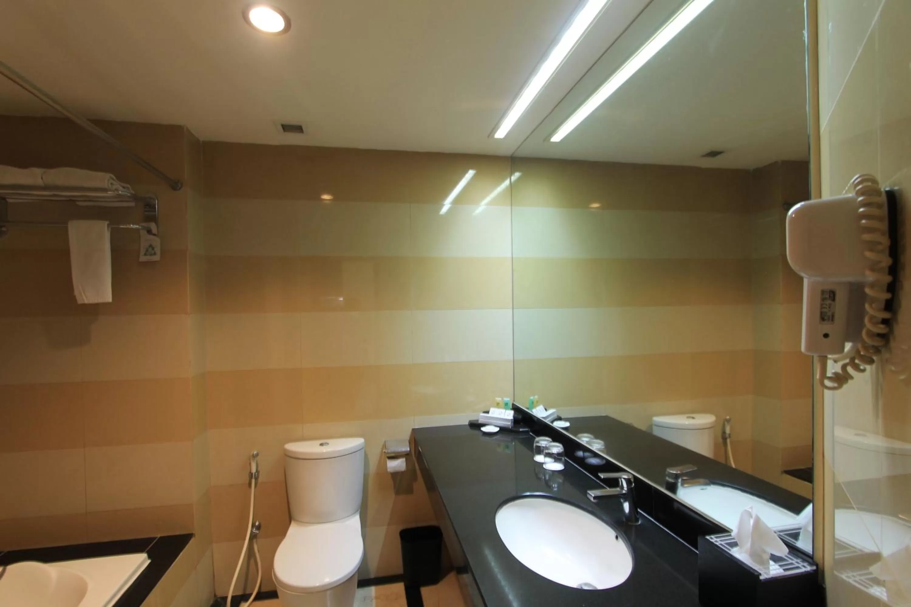Bathroom in Swiss-Belhotel Maleosan Manado