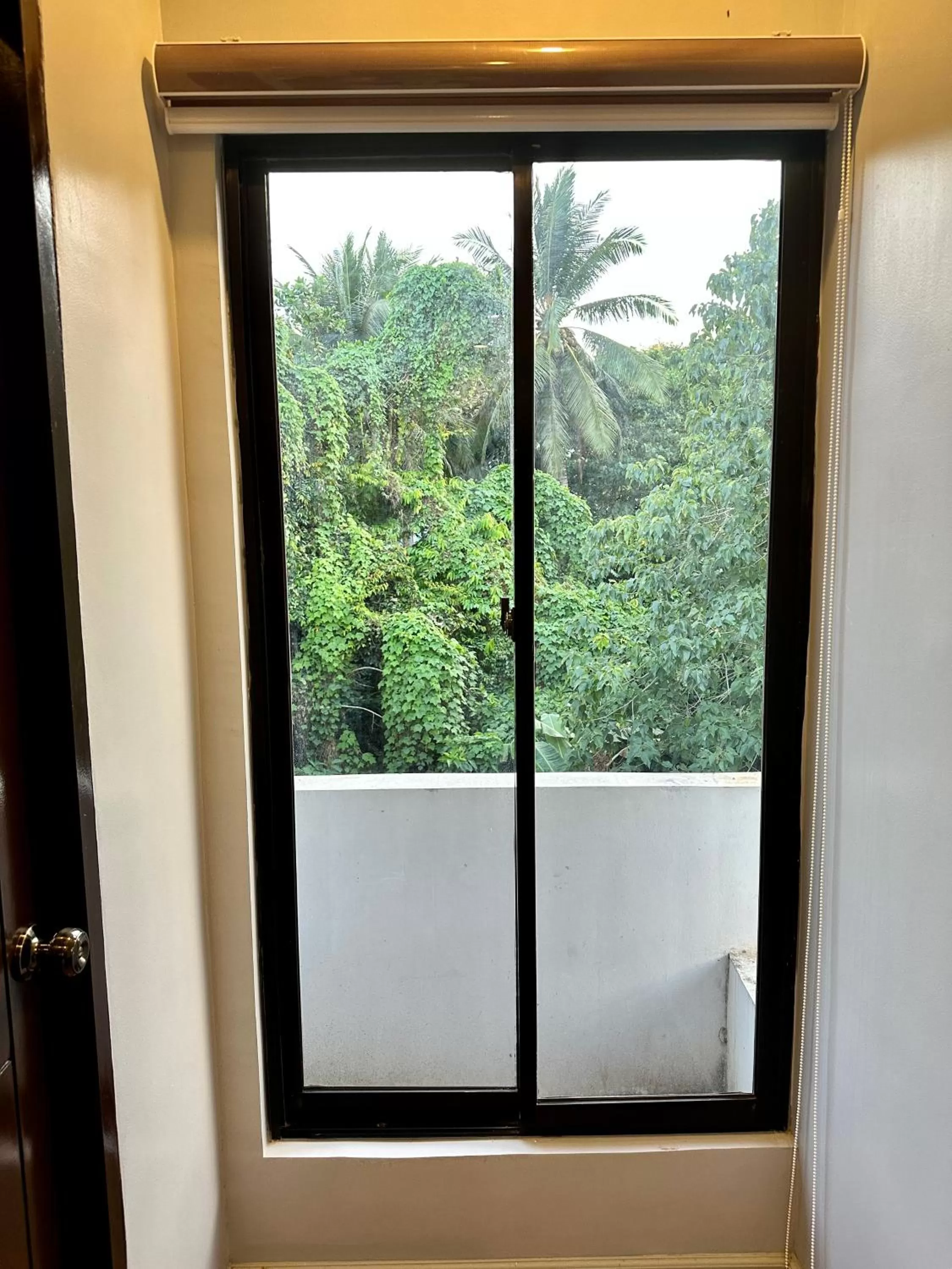 Day in Harbour Bliss Hotel