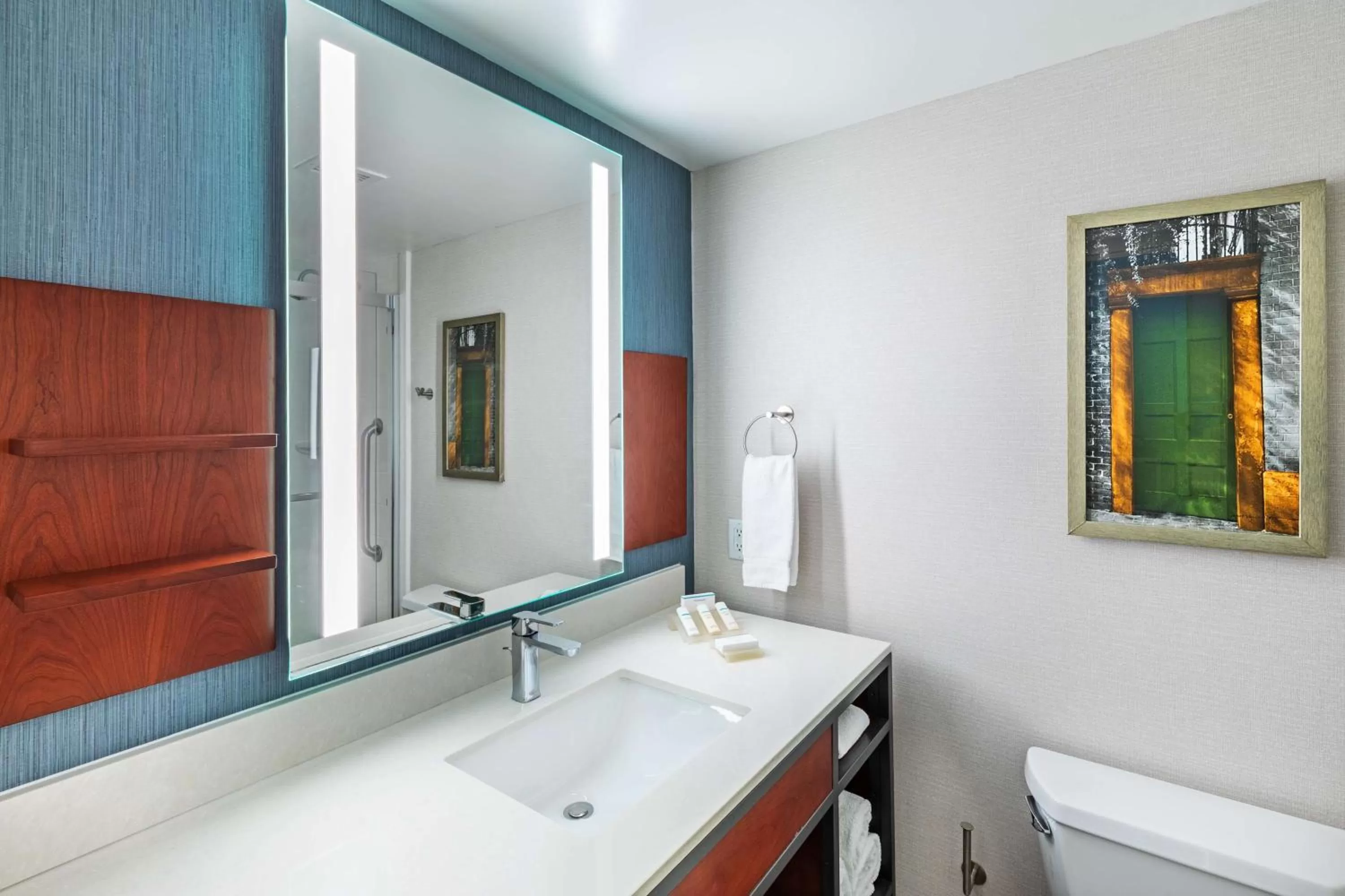 Bathroom in Hilton Garden Inn Houston/Sugar Land