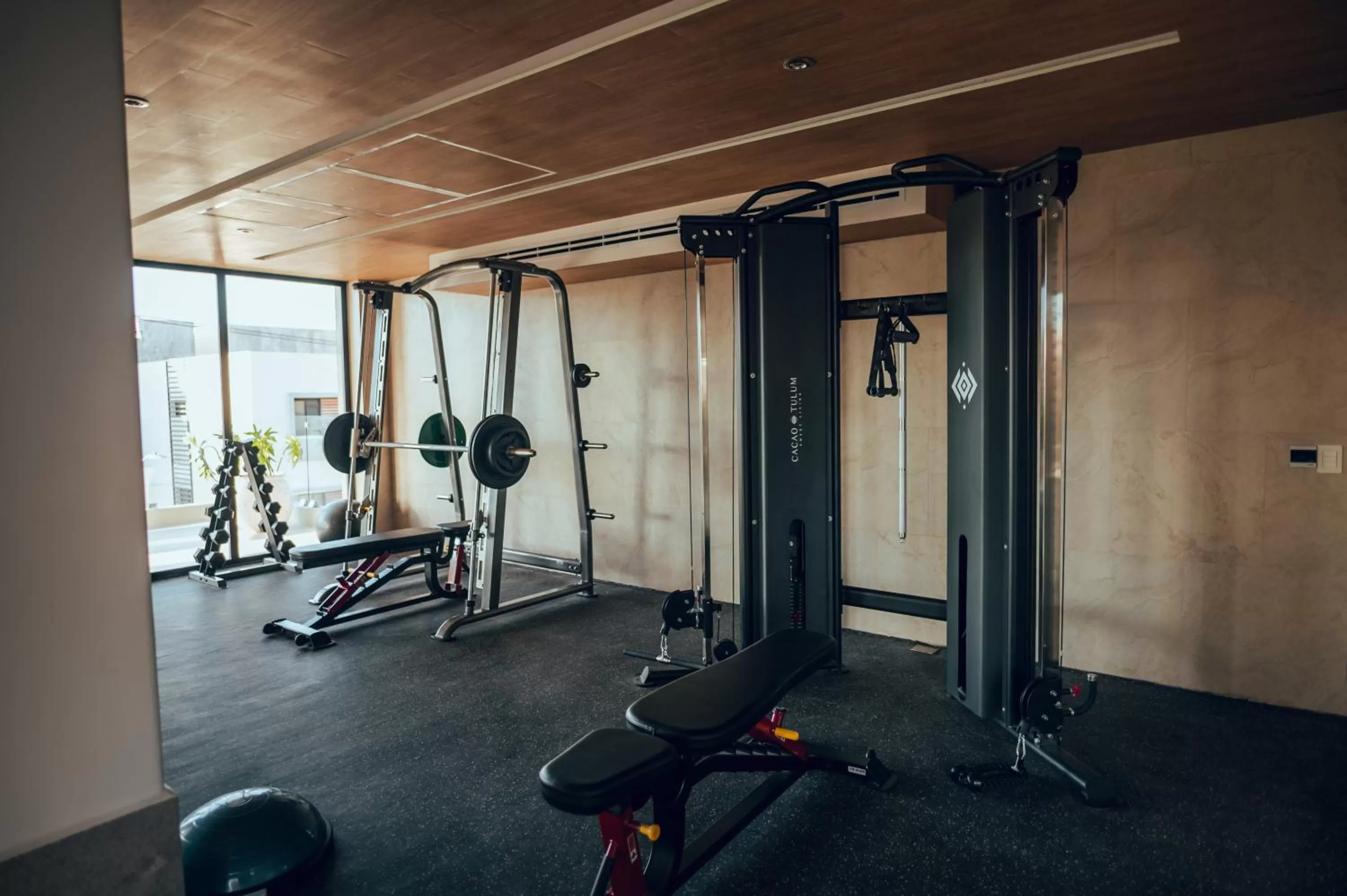 Fitness centre/facilities, Fitness Center/Facilities in Cacao Tulum -Luxury Condos-