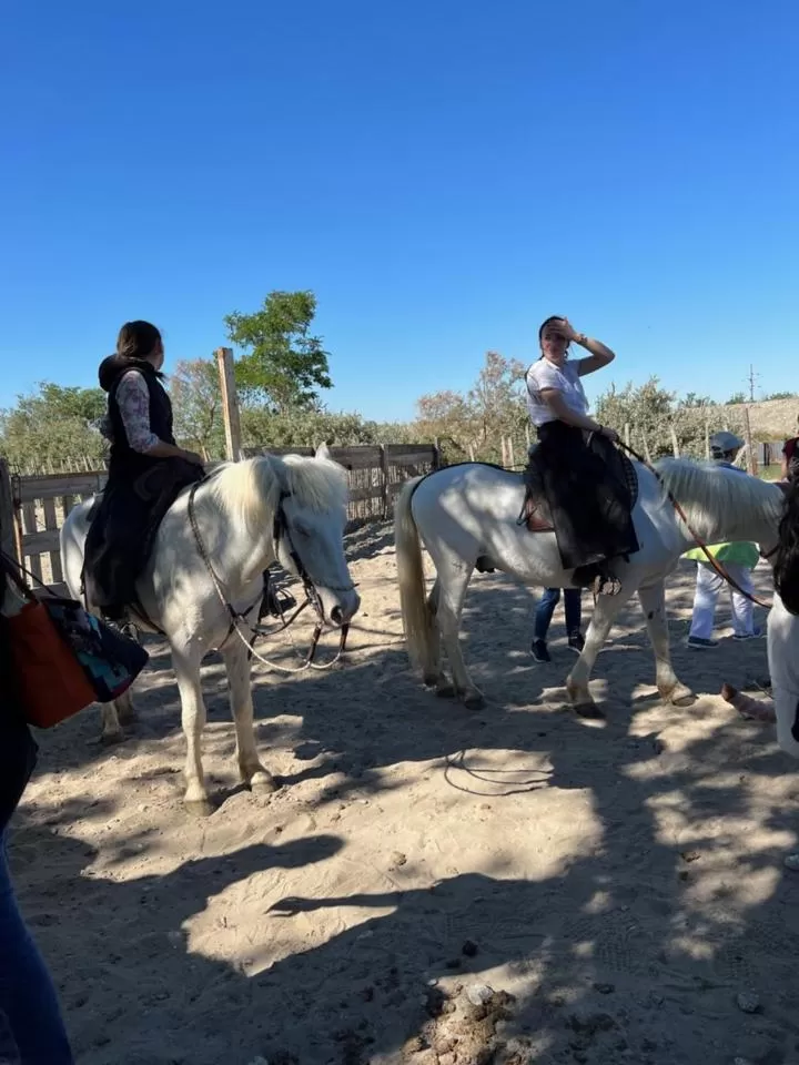 Off site in Hôtel Le Médiéval - Parking inclus & accueil vélo