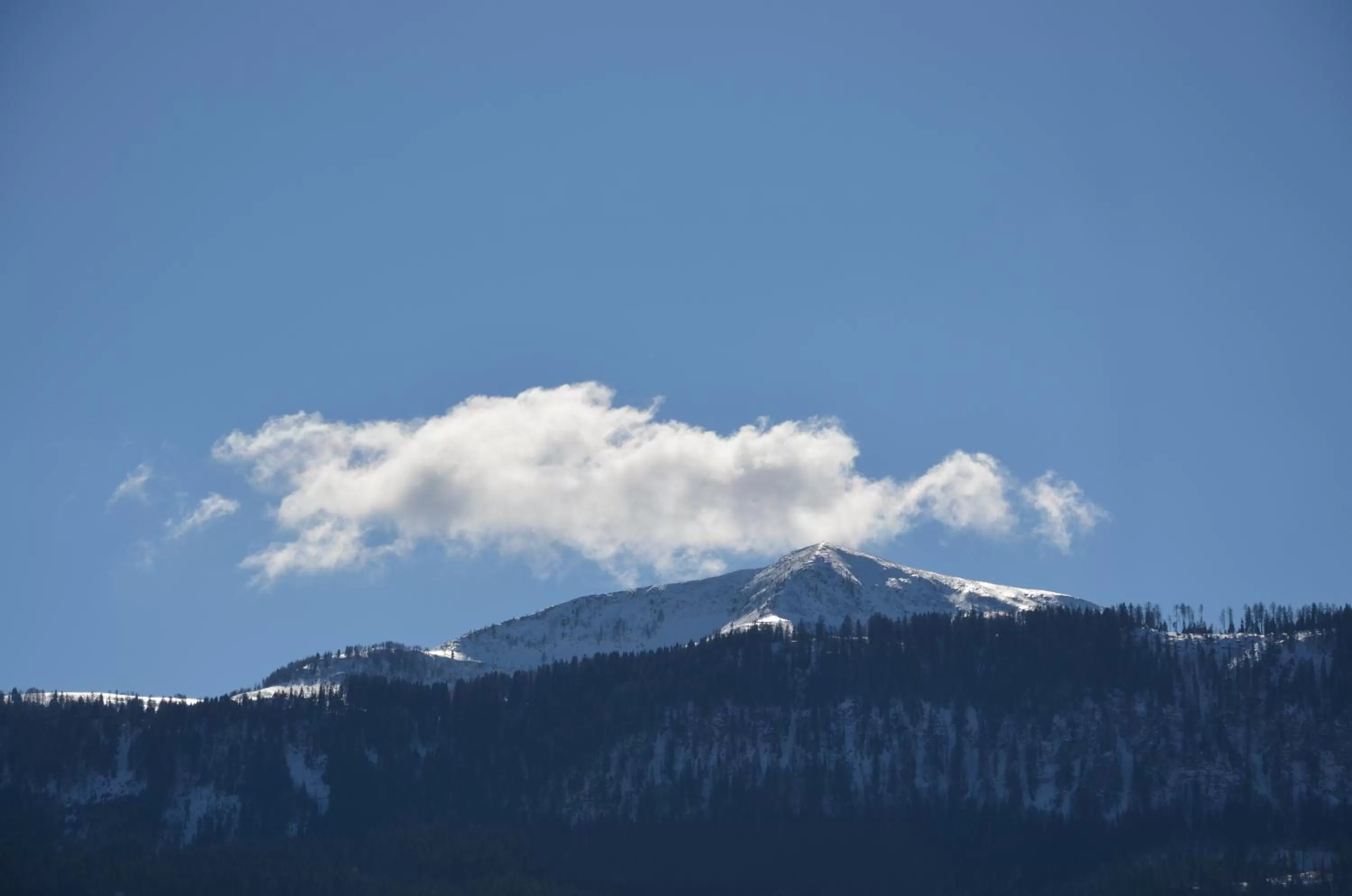 Day in Pension zum Schreiner