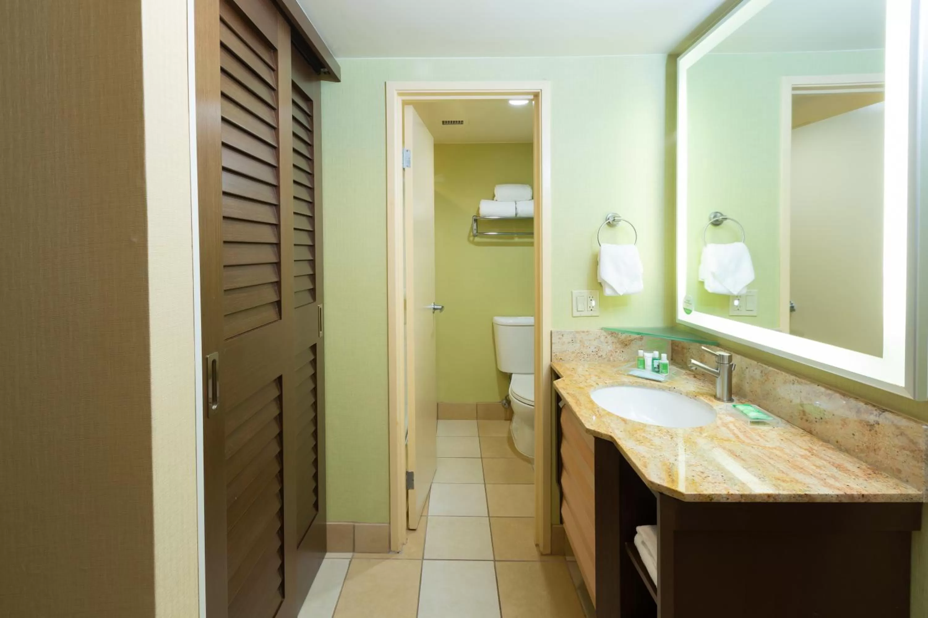 Bathroom in Holiday Inn San Jose-Silicon Valley by IHG
