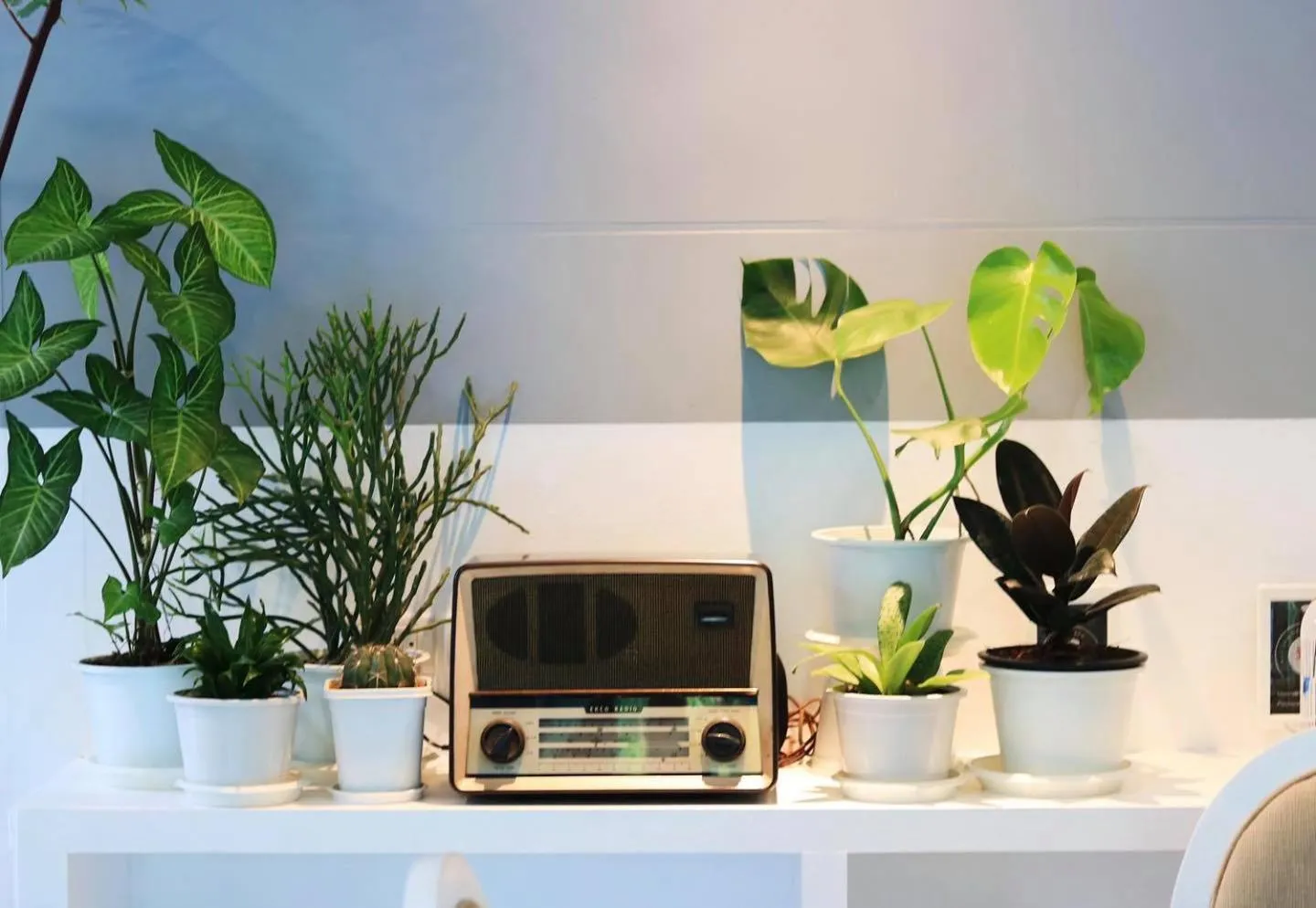 Restaurant/places to eat in Ratana Hotel Rassada, PHUKET TOWN- SHA Extra Plus