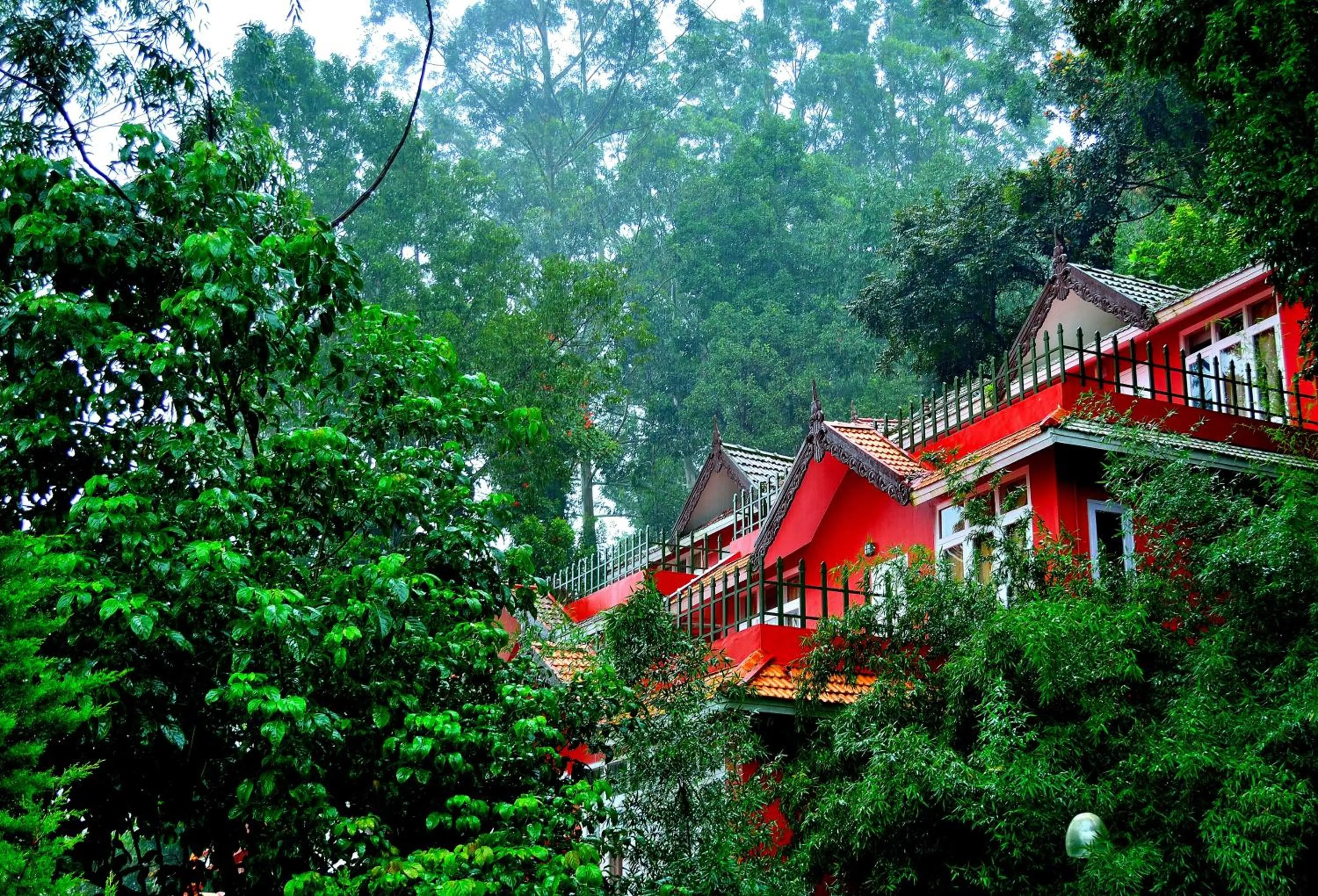 Property building in Tea Valley Resort, Munnar