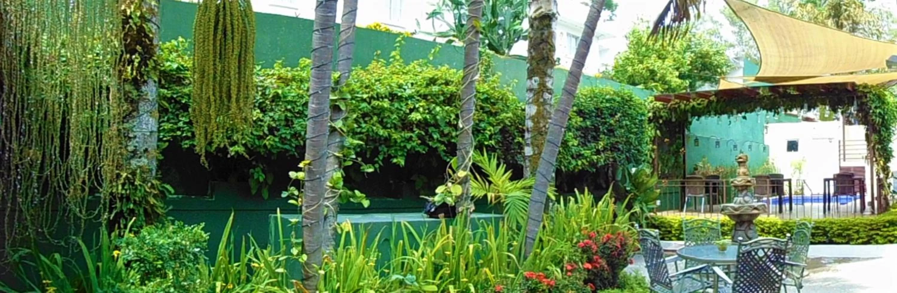 View (from property/room) in Las Magnolias Hotel Boutique