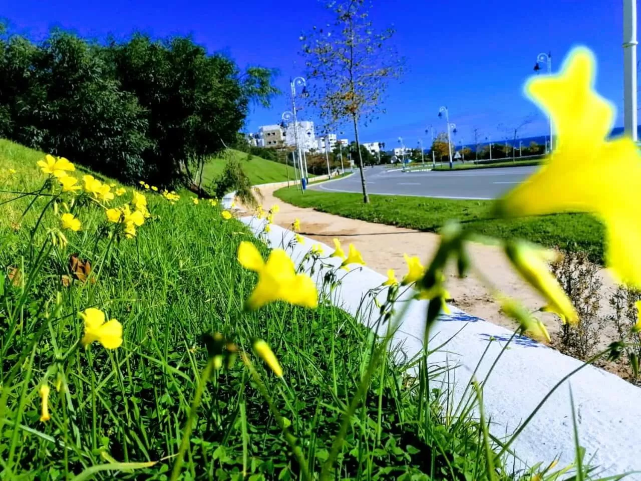 Studio avec piscine à Mirador cabo négro