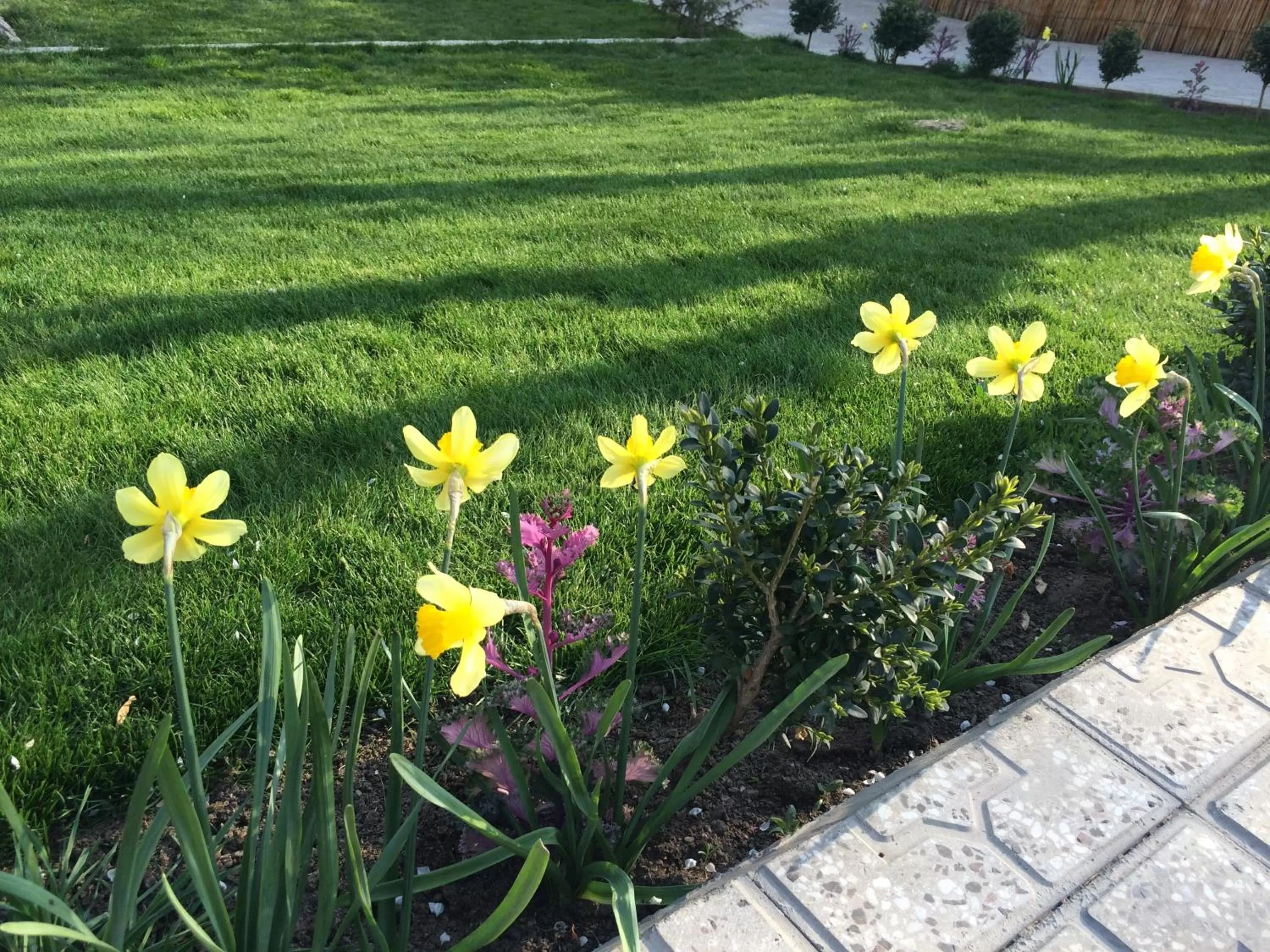 Spring, Garden in Armon Apart Hotel