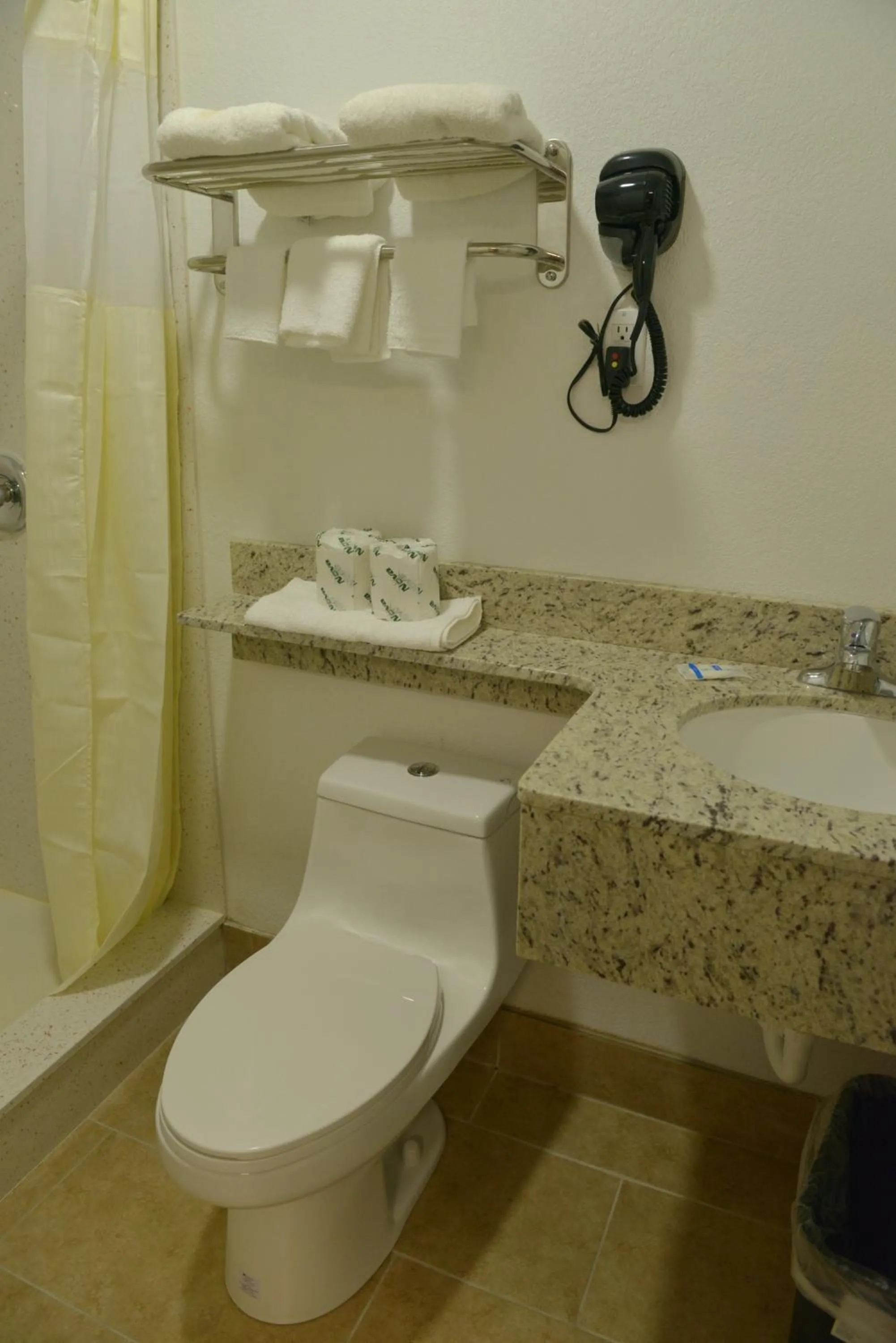 Bathroom in Rodeway Inn & Suites Winter Haven Chain of Lakes