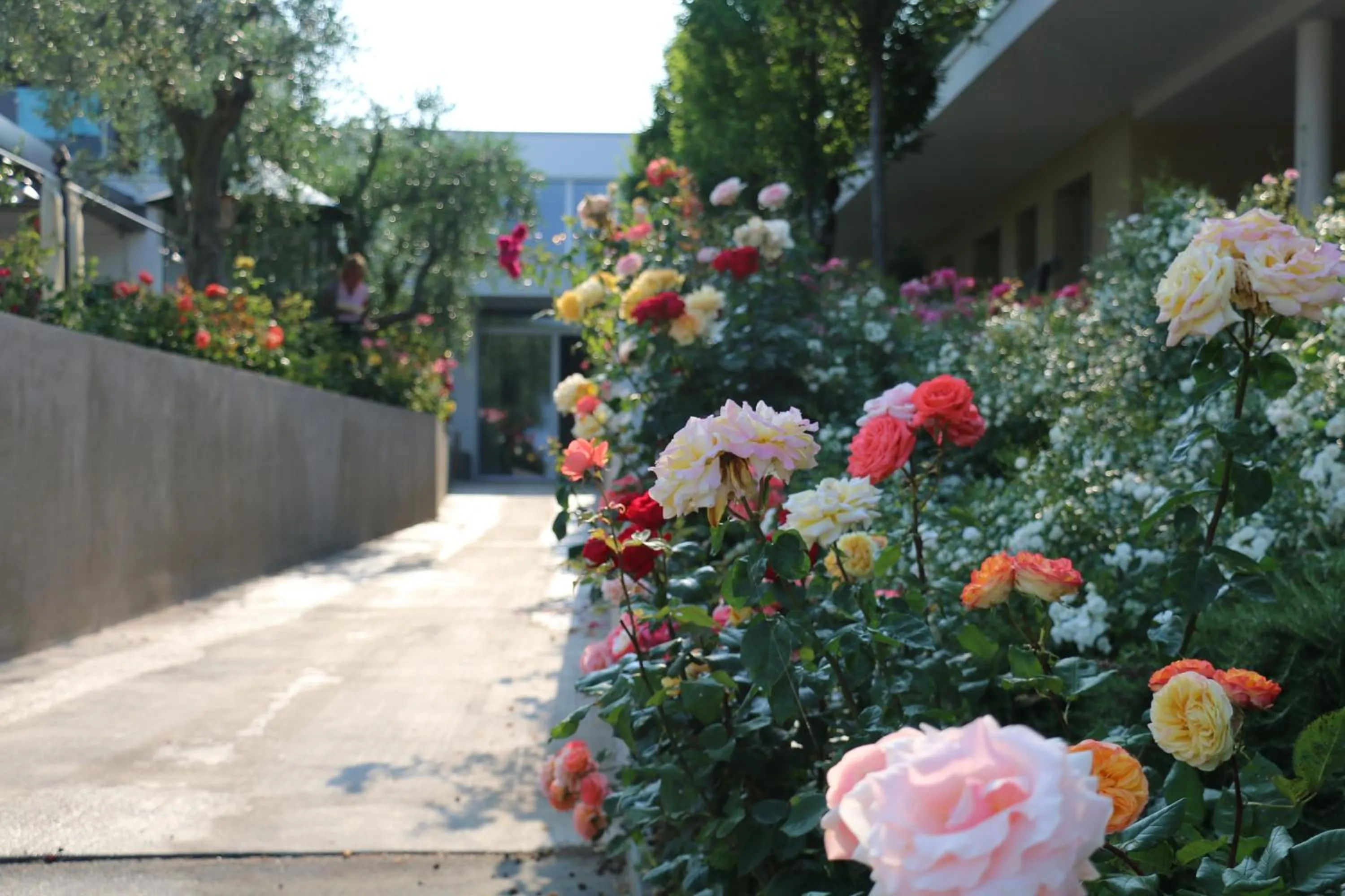 Decorative detail in Hotel Maximilian