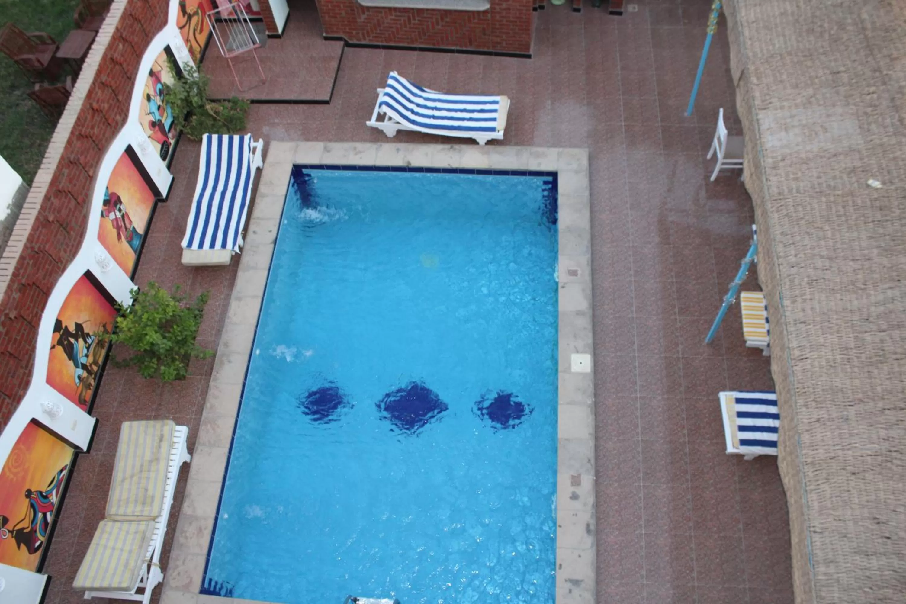 Mama Africa Apts & Studios