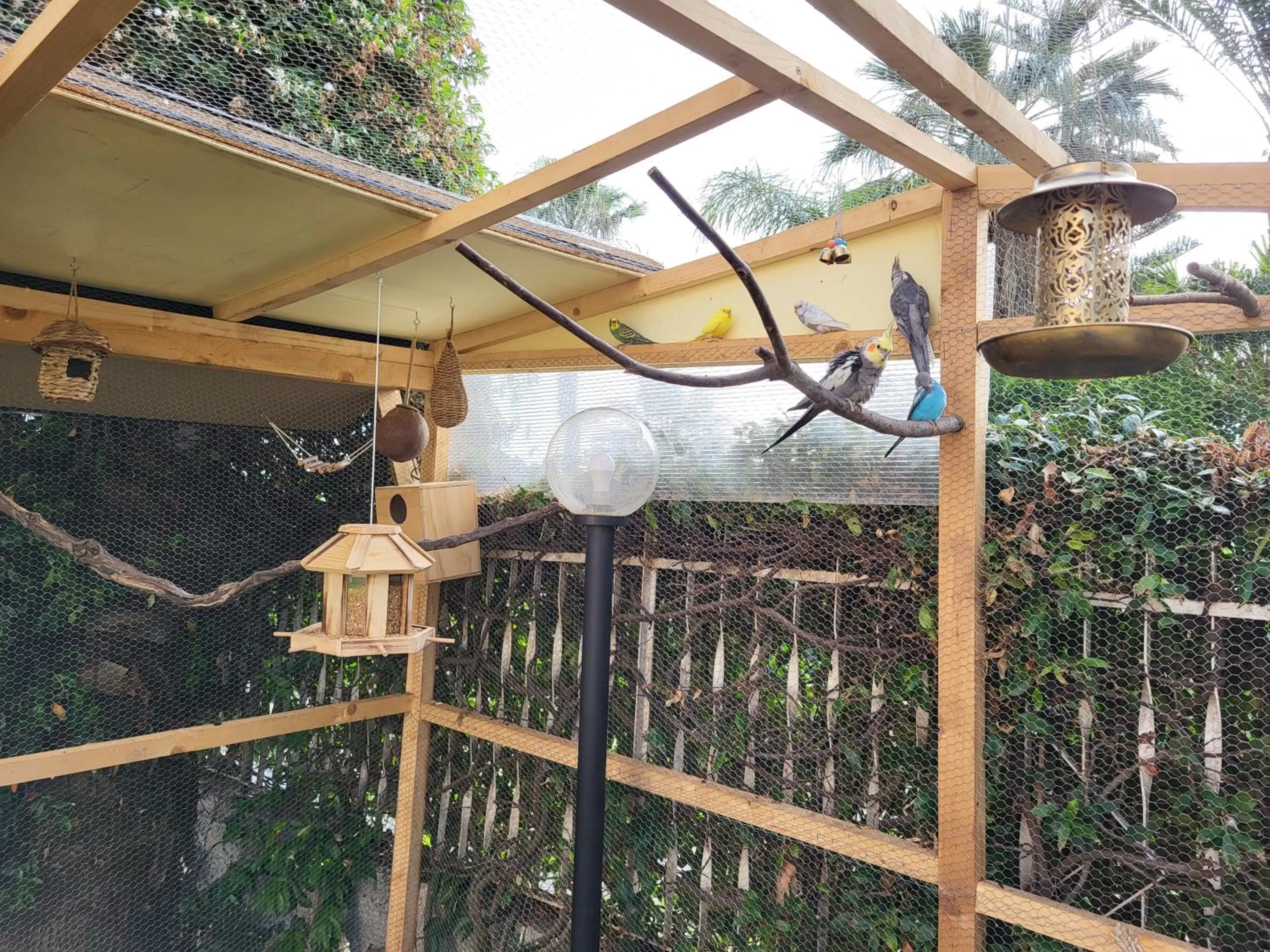 Animals in B&B Magna Grecia