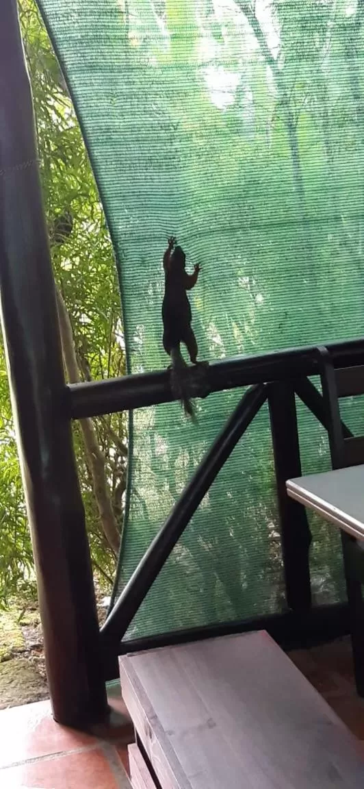 Casona Rústica & Bungalow