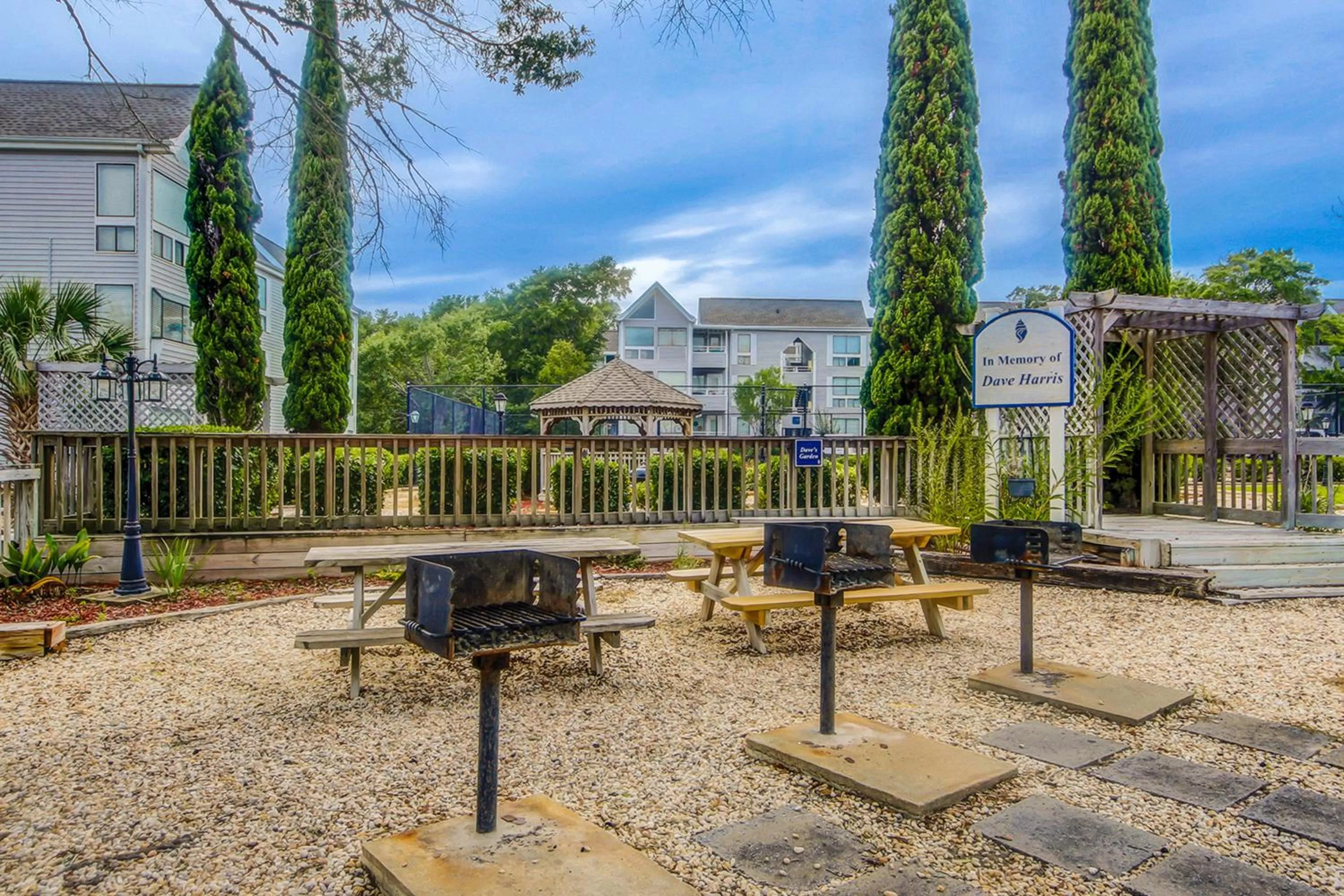 Arcadian Dunes 26-507