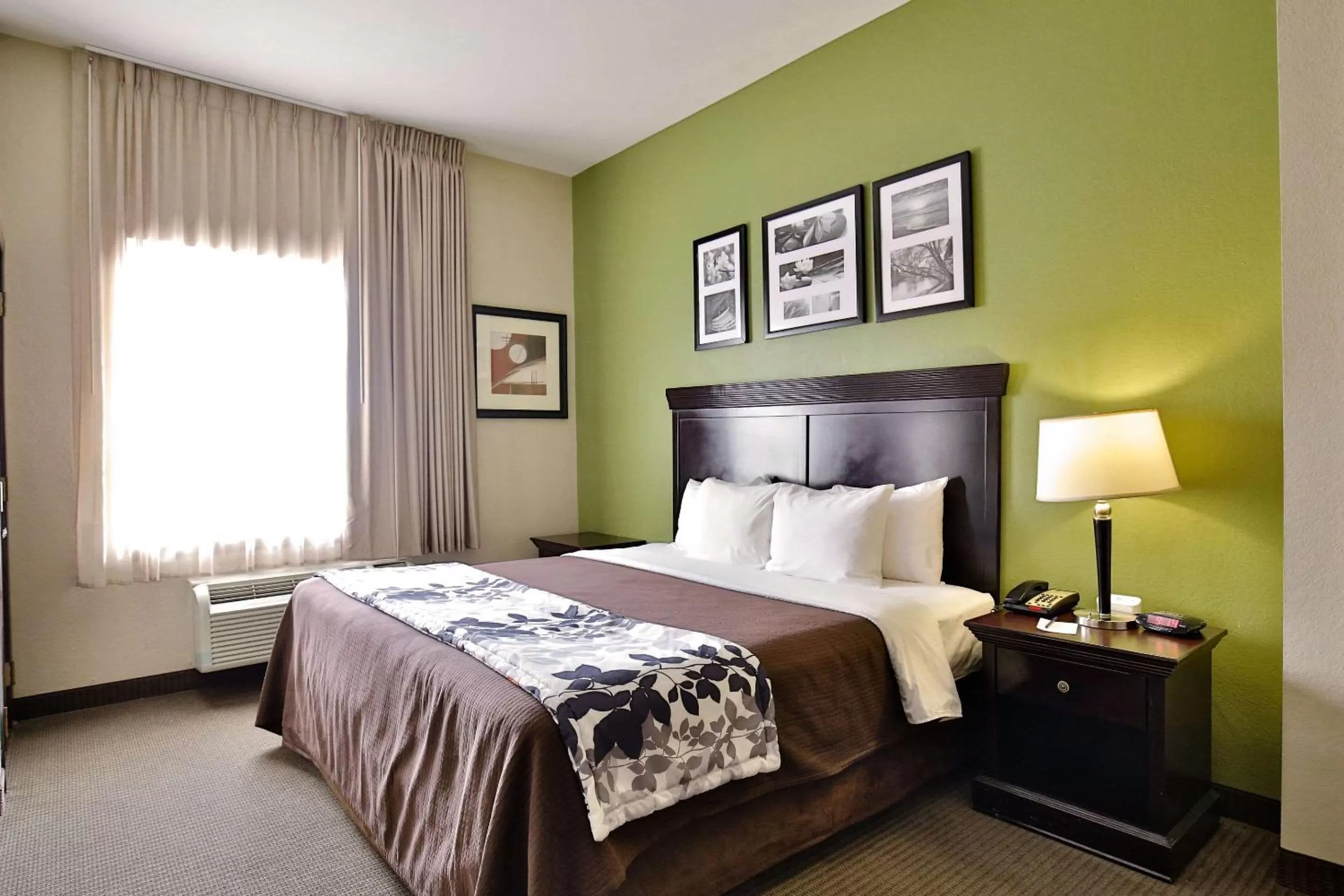 Photo of the whole room, Bed in Sleep Inn & Suites Abilene Near University