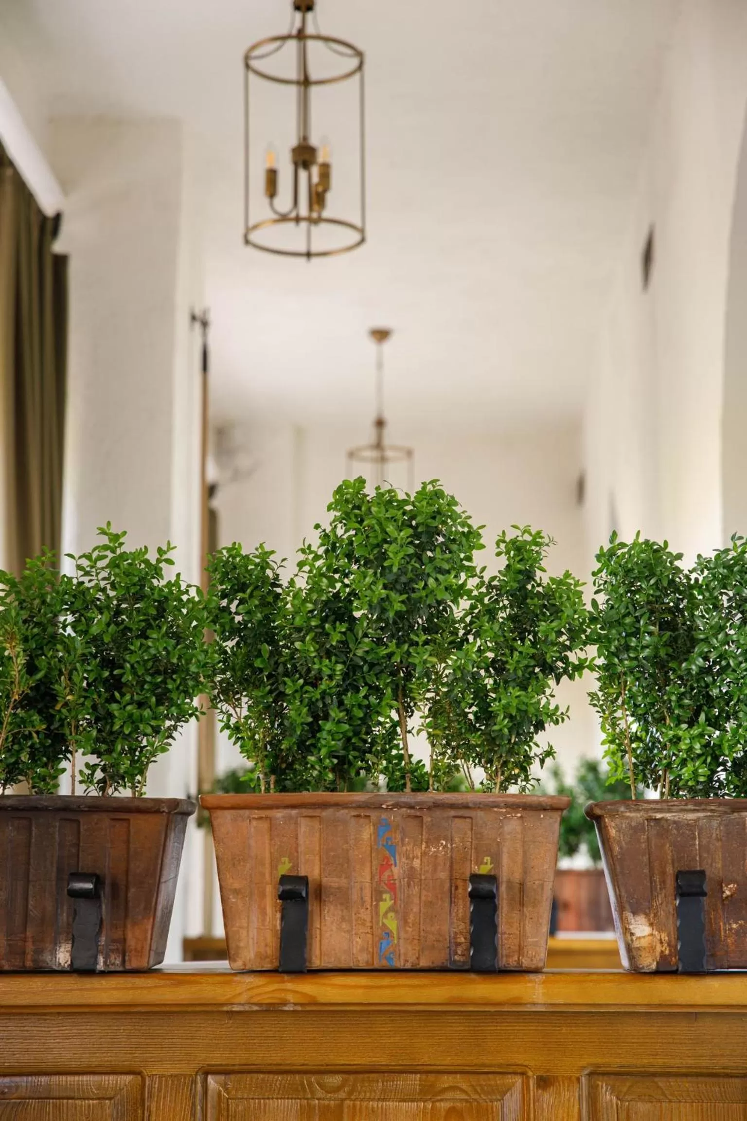 Spring in Boutique ETHNO HOTEL