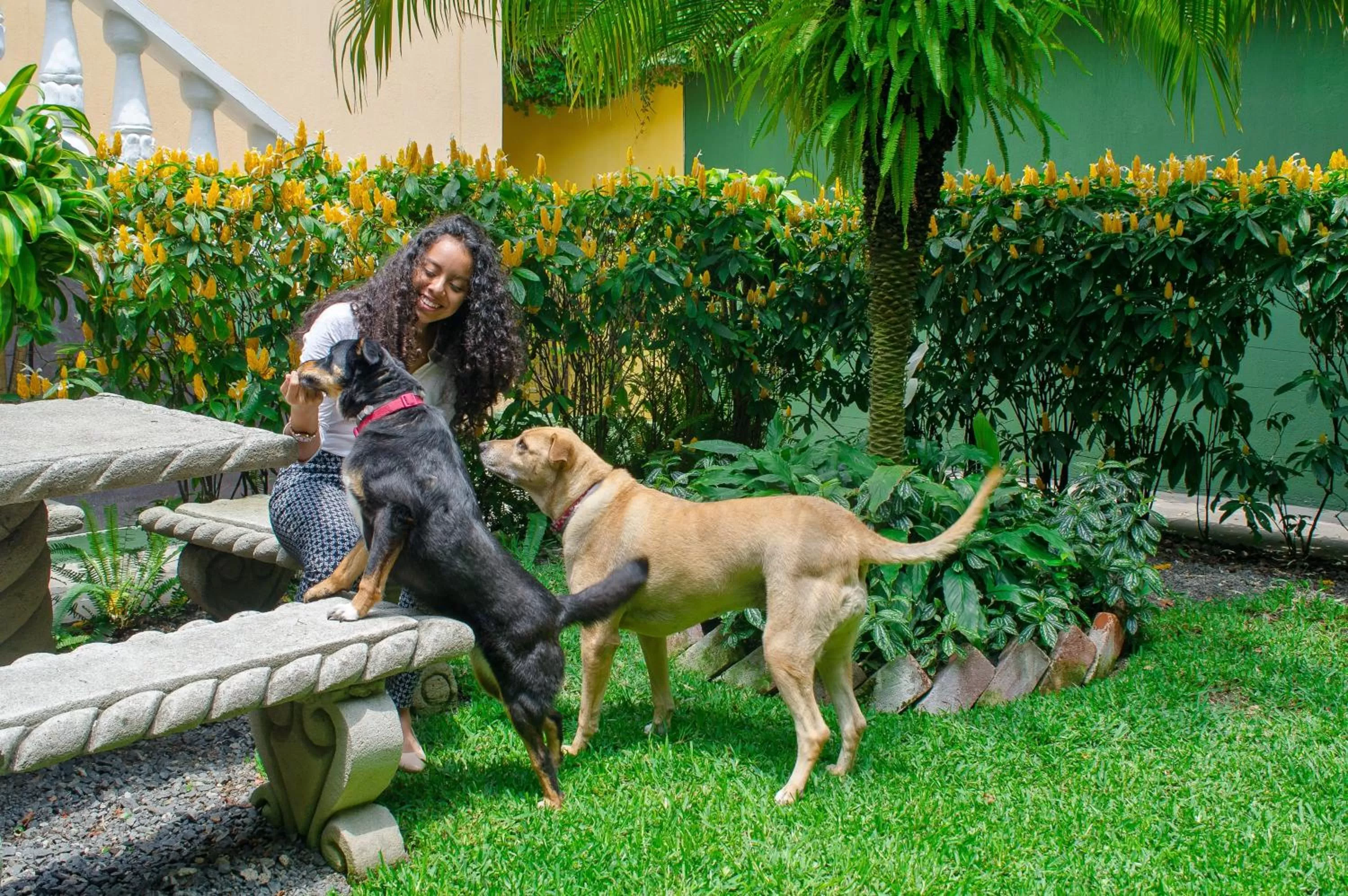 Garden in Hotel Casa Rustica by AHS