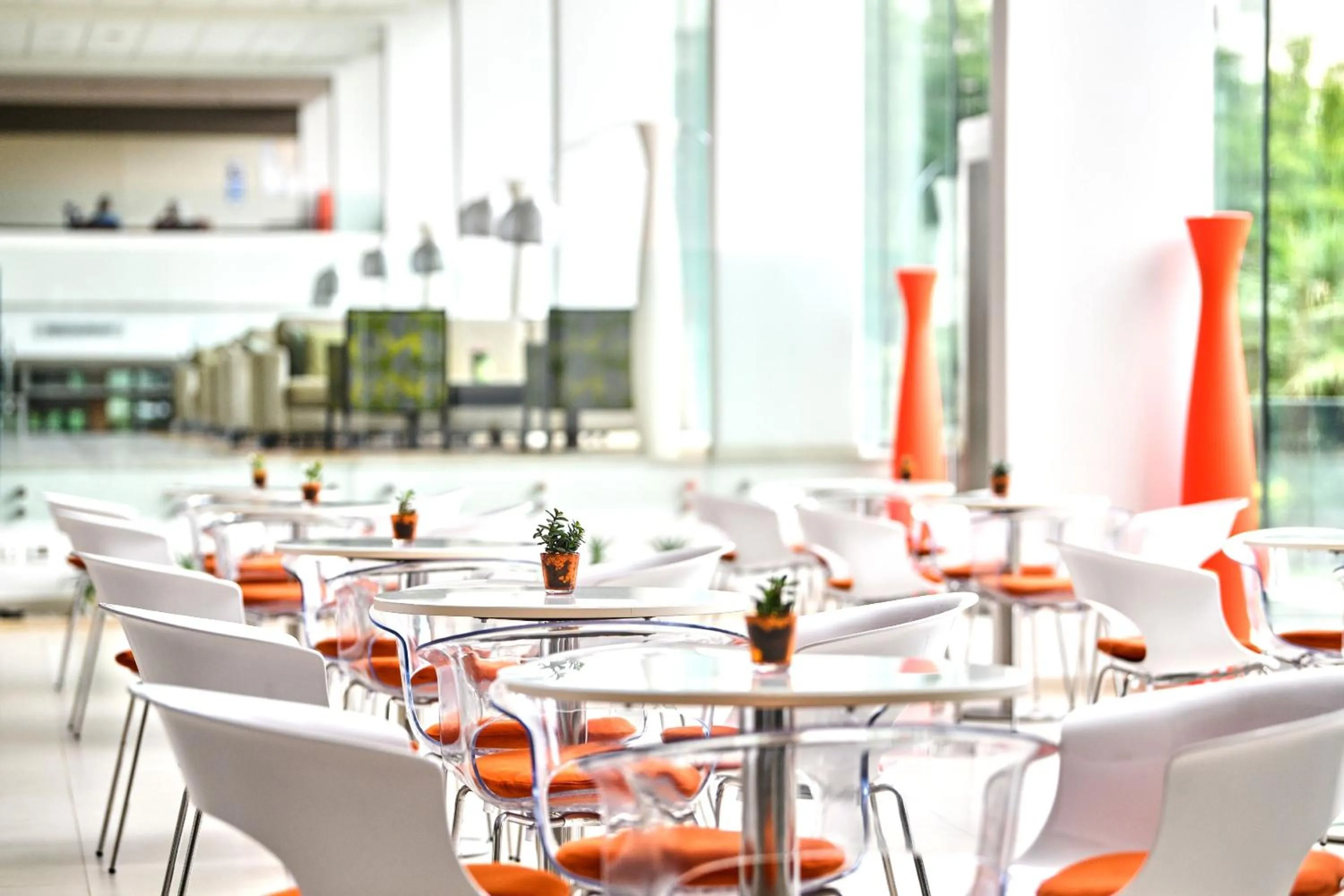 Lounge or bar in Hotel Mediteran Plava Laguna