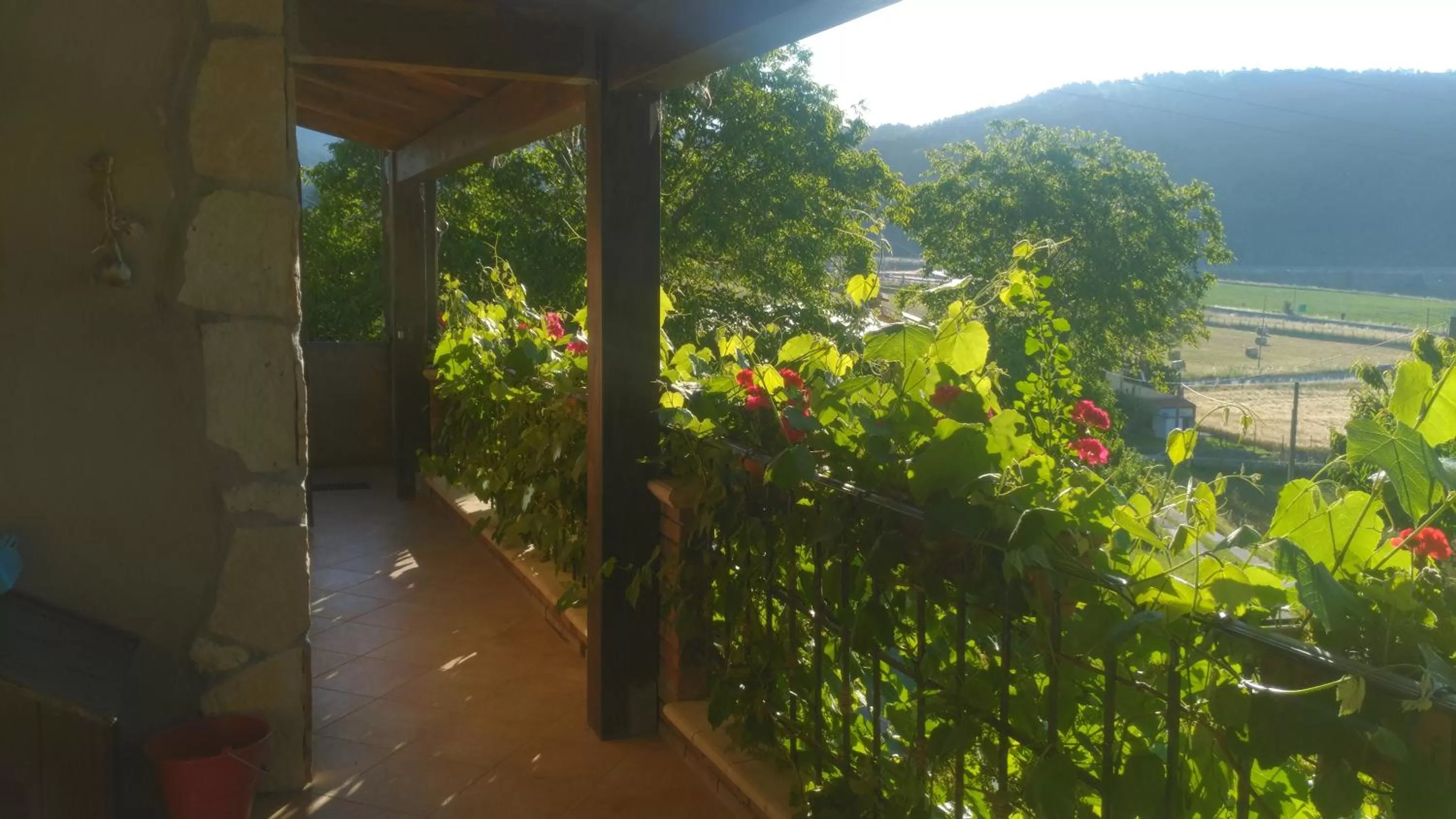 Dolcedorme del Pollino