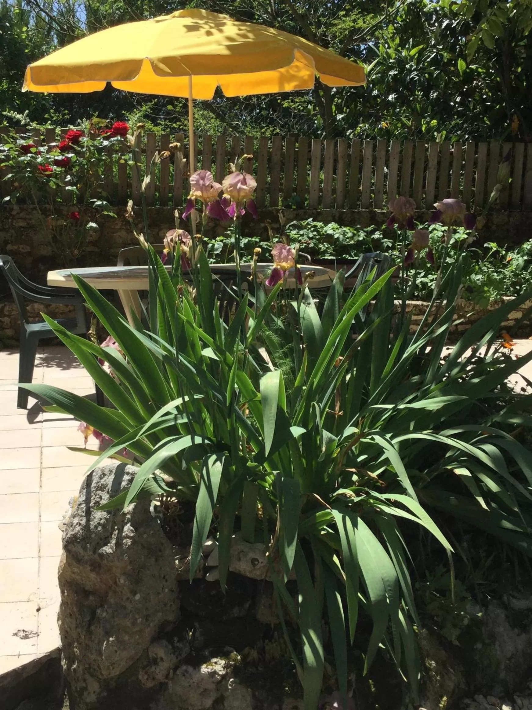 Garden in Les noyers aulnay