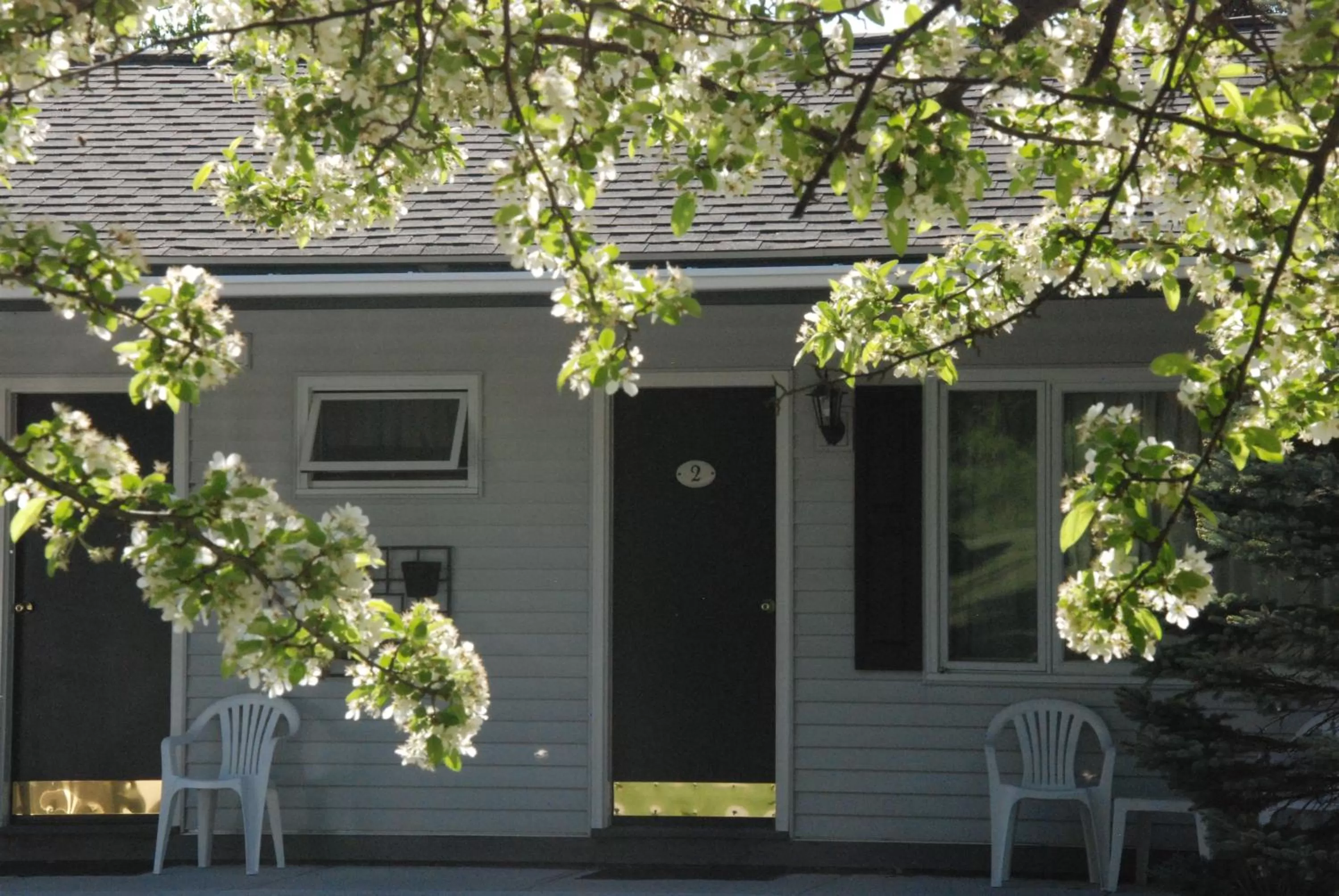 Facade/entrance in Harwood Hill Motel