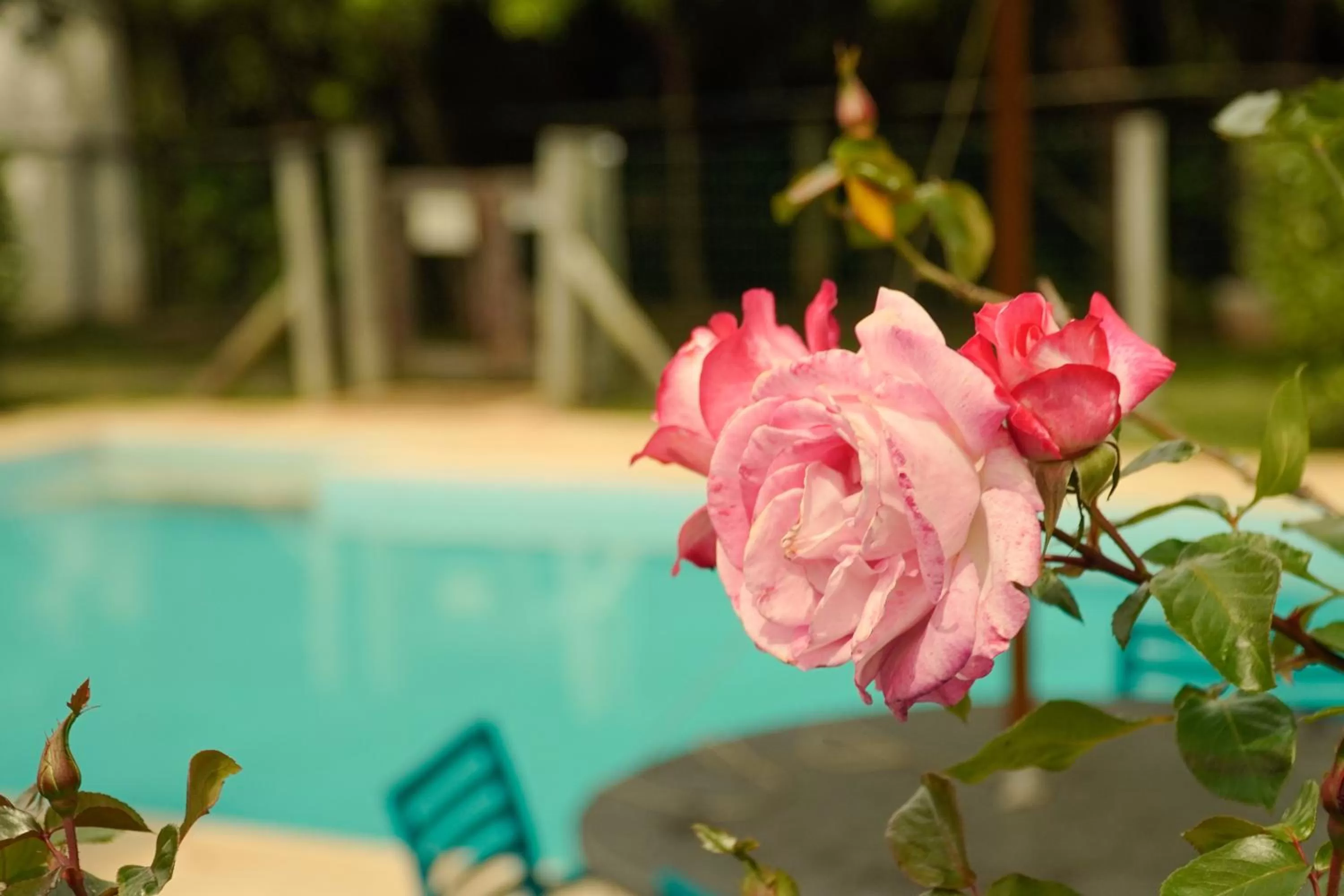 Garden in Pousada Dunasol Floripa