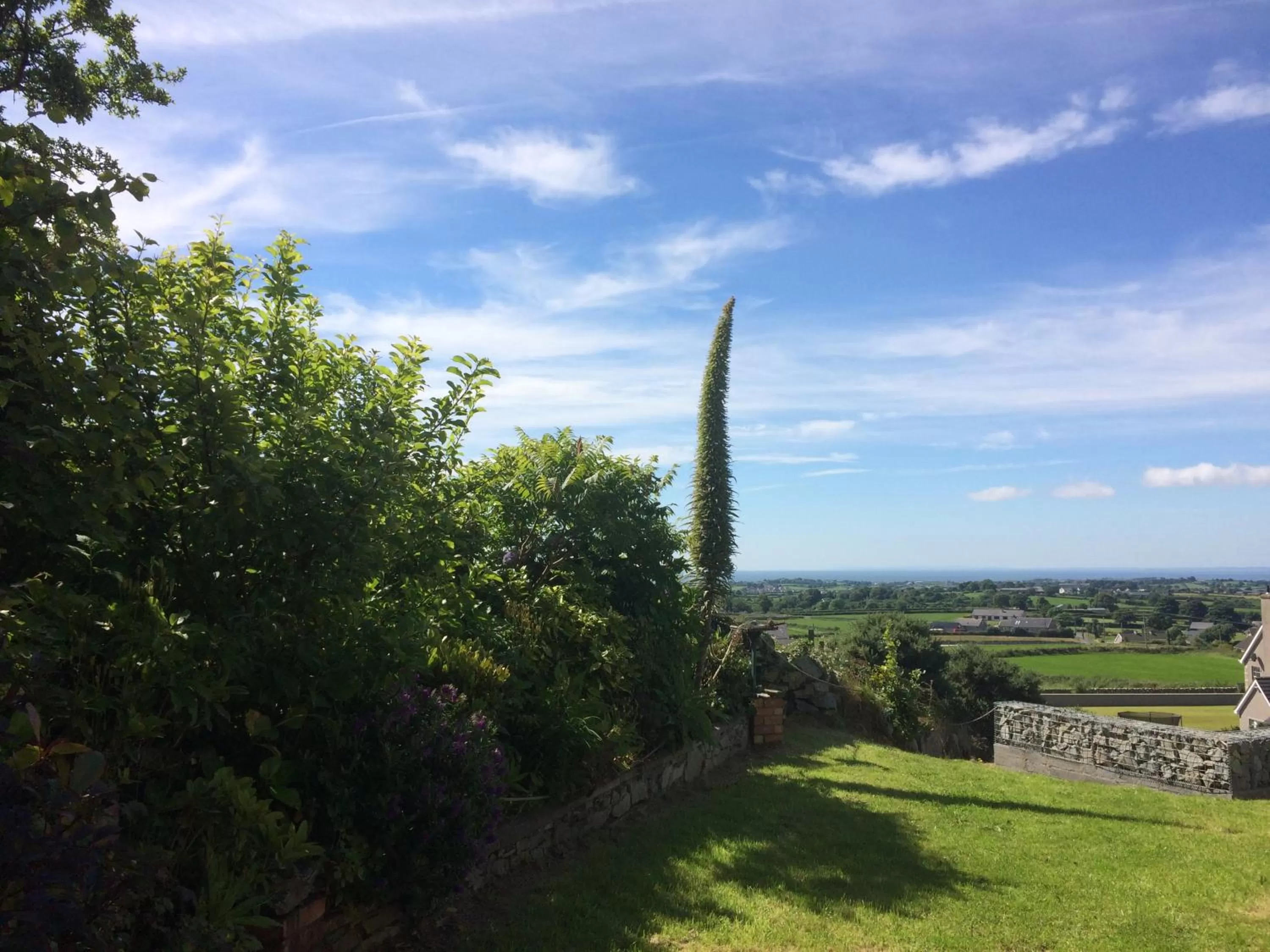 Garden in Leitrim Hill Bed and Breakfast