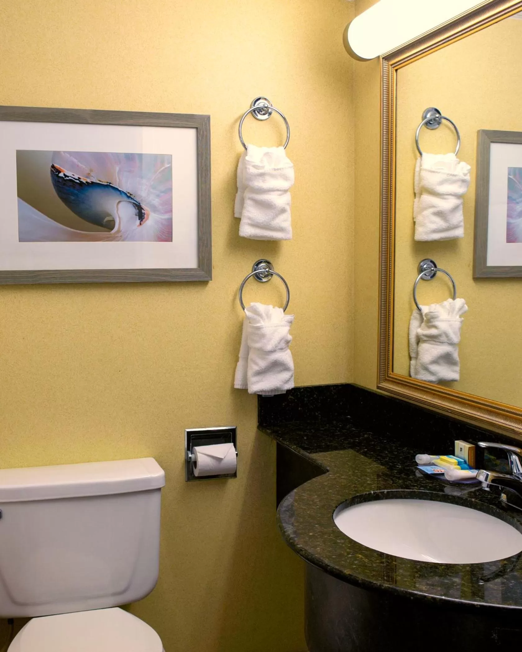 Bathroom in The Oceanfront Inn - Virginia Beach