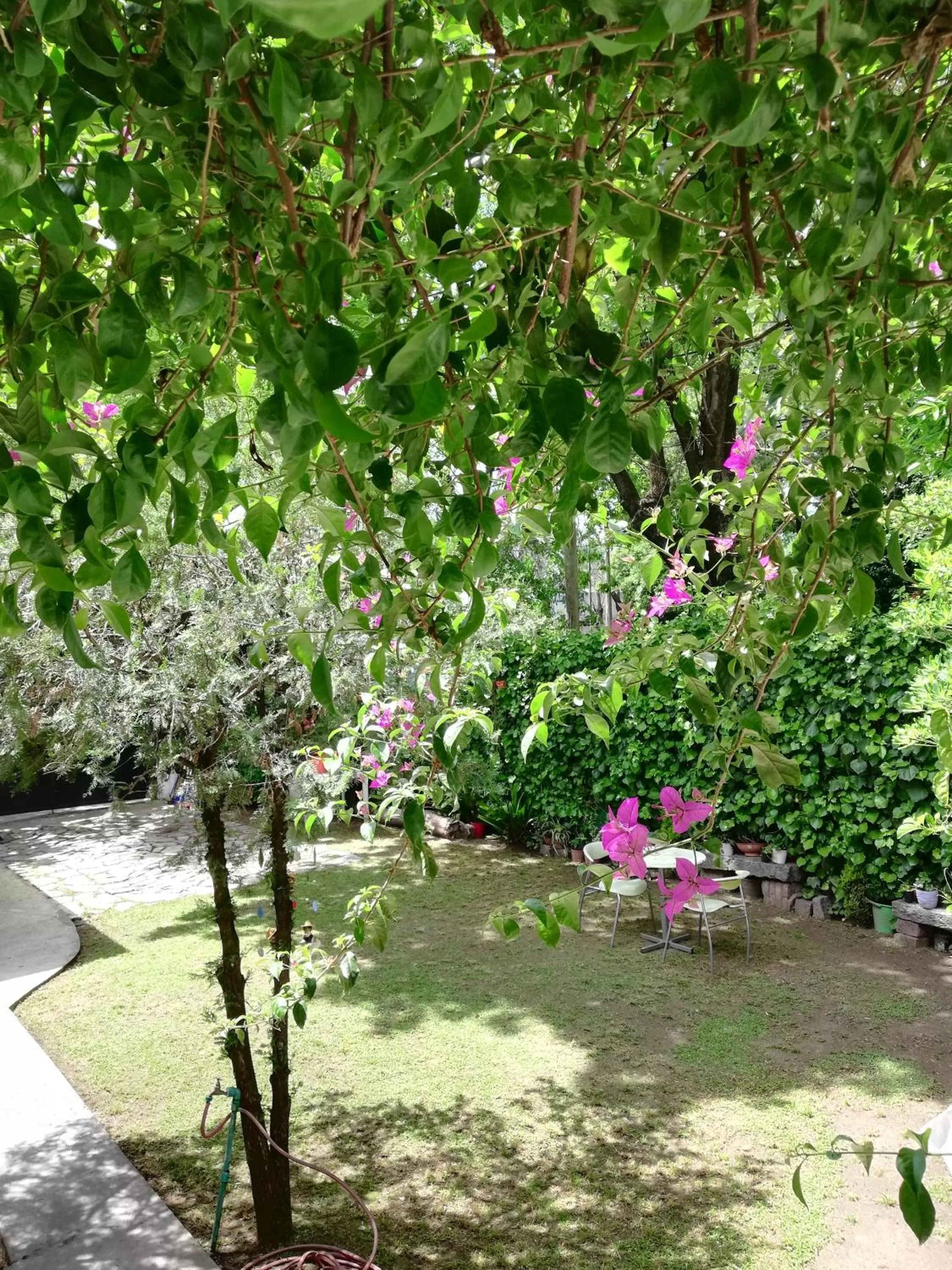 HOTEL Boutique Casablanca Adrogué