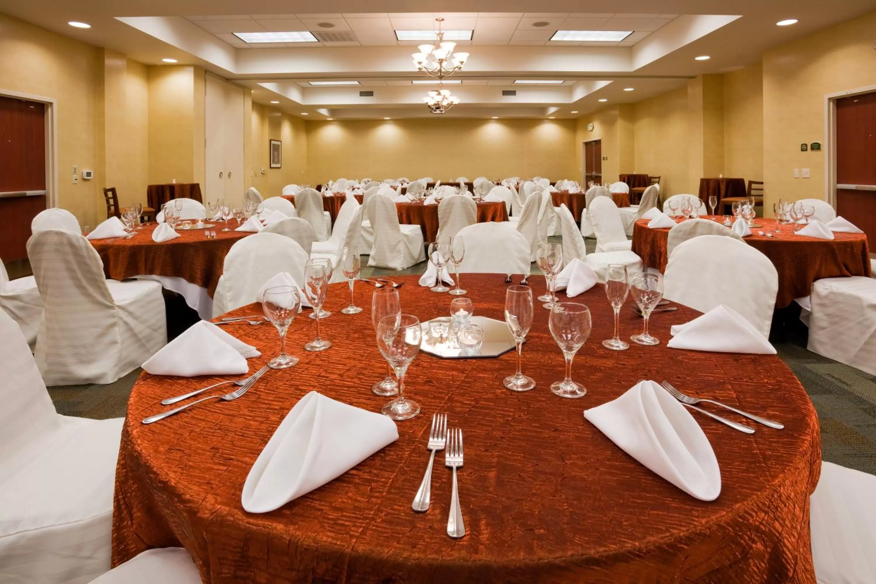 Banquet/Function facilities in Holiday Inn Madison at The American Center by IHG