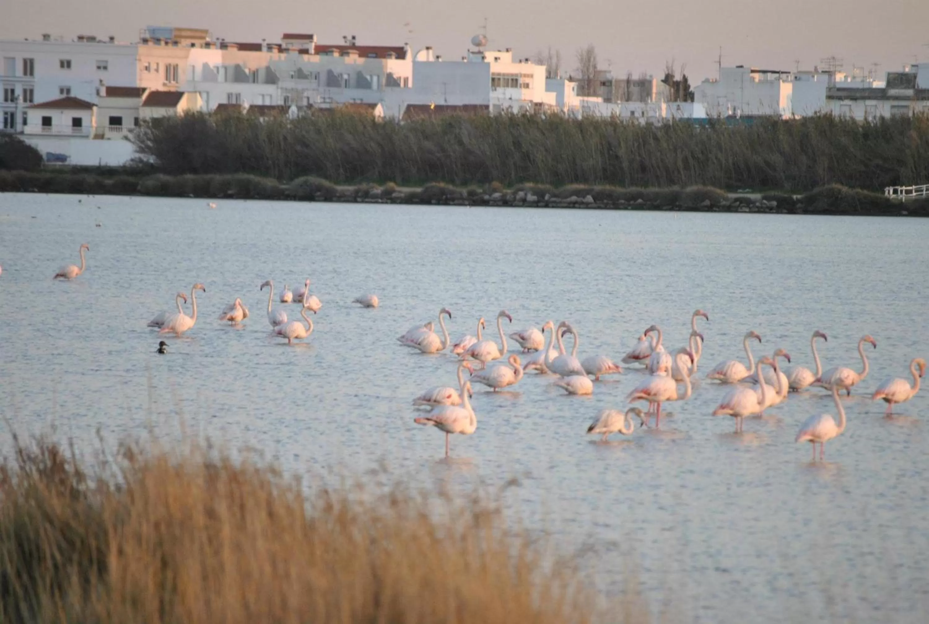 Other in Hotel Vasco Da Gama