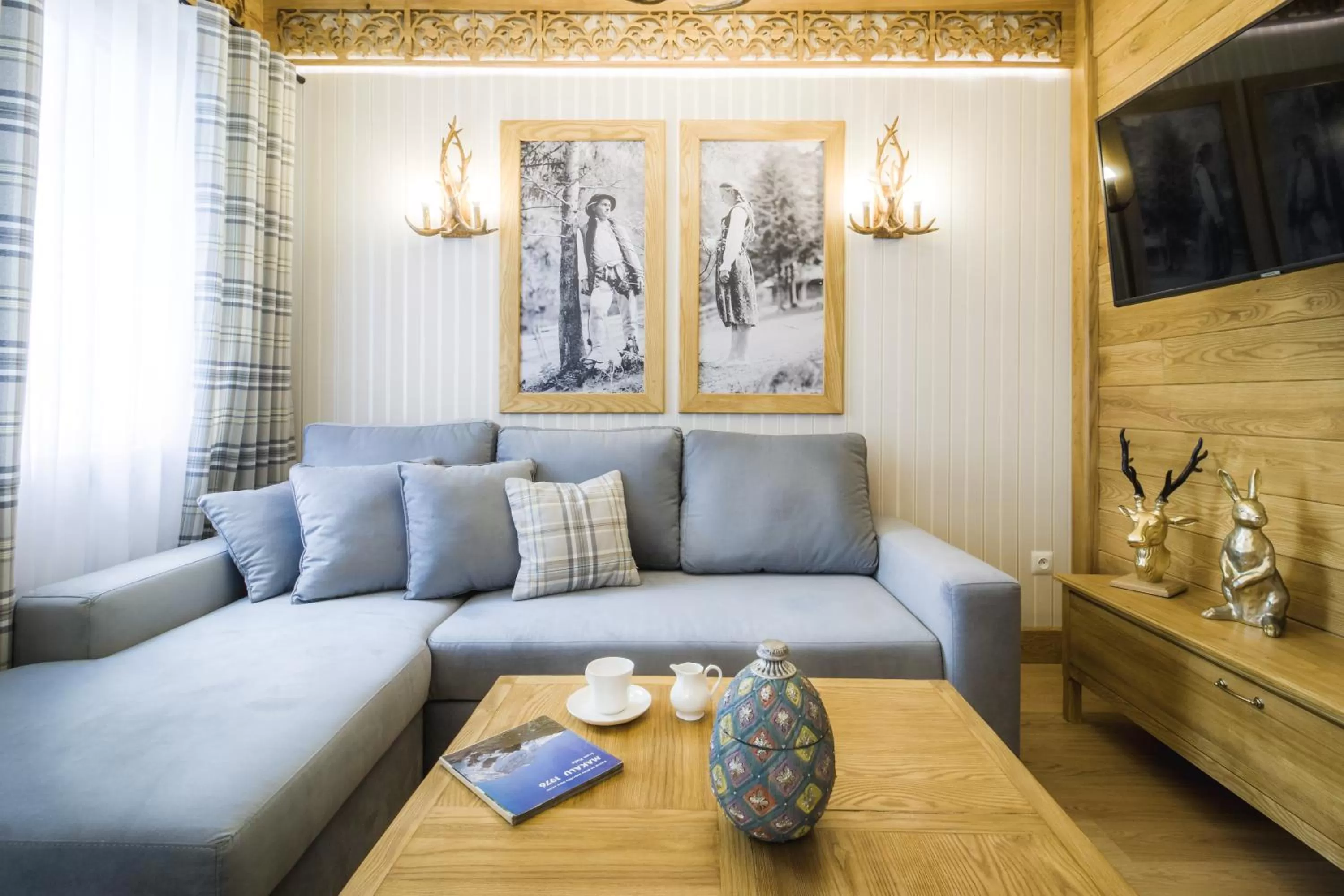 TV and multimedia, Seating Area in Jagiellońska Residence