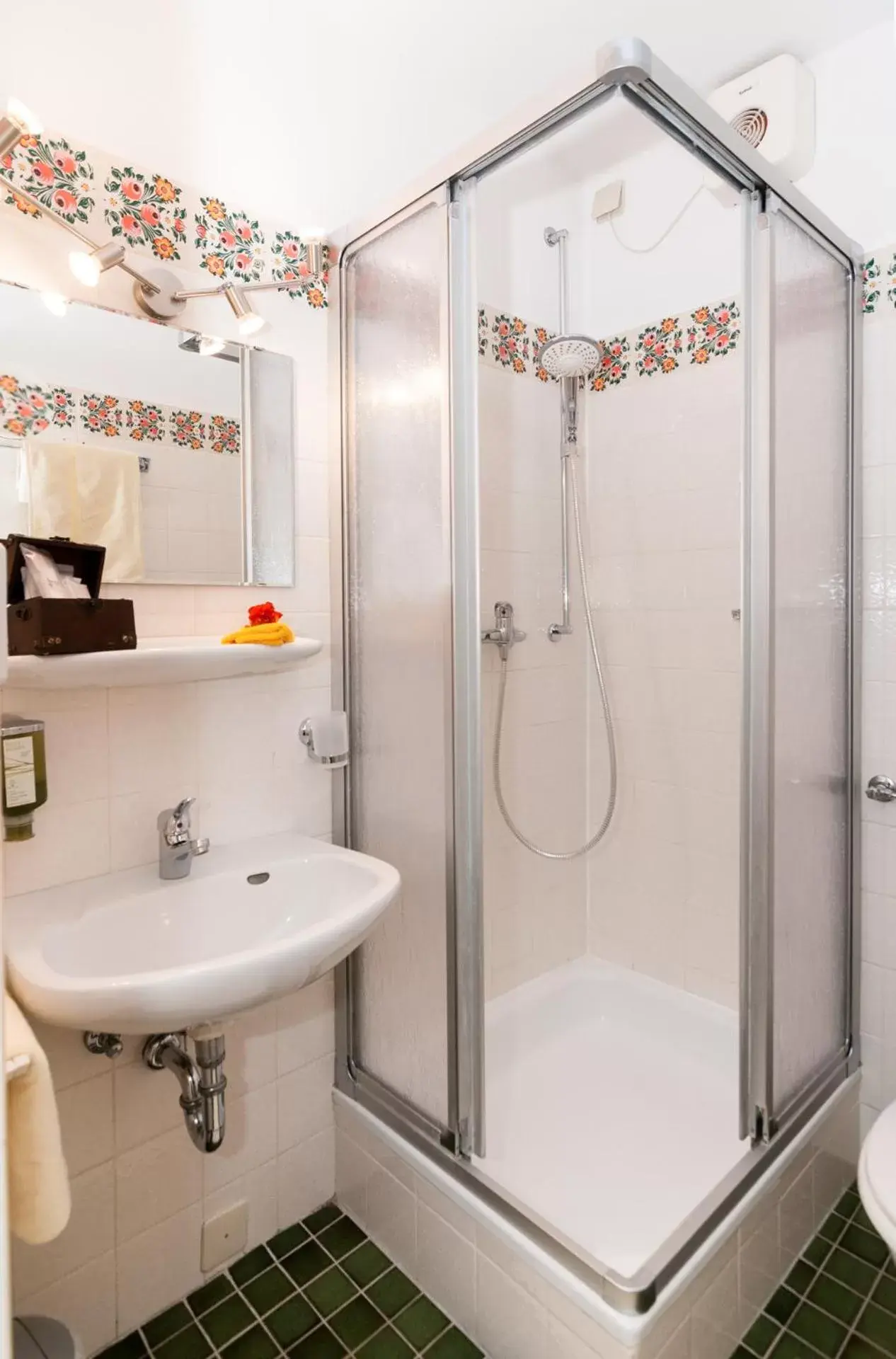 Single Room - single occupancy in Hotel Effland -Sauna -Pool Single Room - single occupancy in Hotel Effland -Sauna -Pool